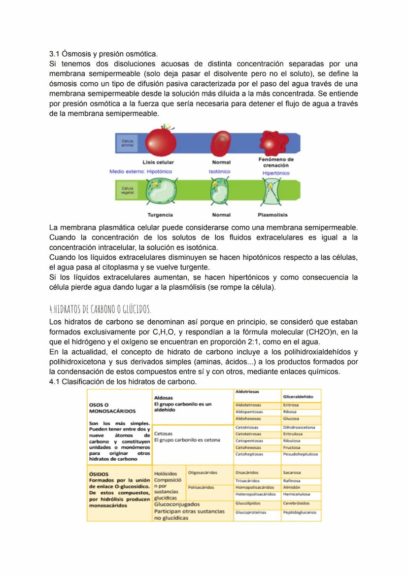 TEMA 4: BIOQUÍMICA
1. LA COMPOSICIÓN DE LOS SERES VIVOS.
Todos los seres vivos que ves a tu alrededor están formados por la combinación
fund