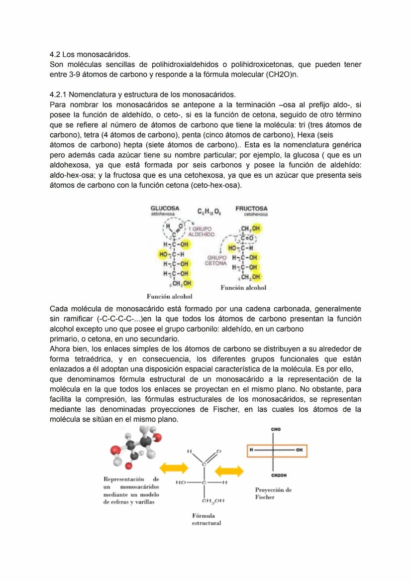TEMA 4: BIOQUÍMICA
1. LA COMPOSICIÓN DE LOS SERES VIVOS.
Todos los seres vivos que ves a tu alrededor están formados por la combinación
fund