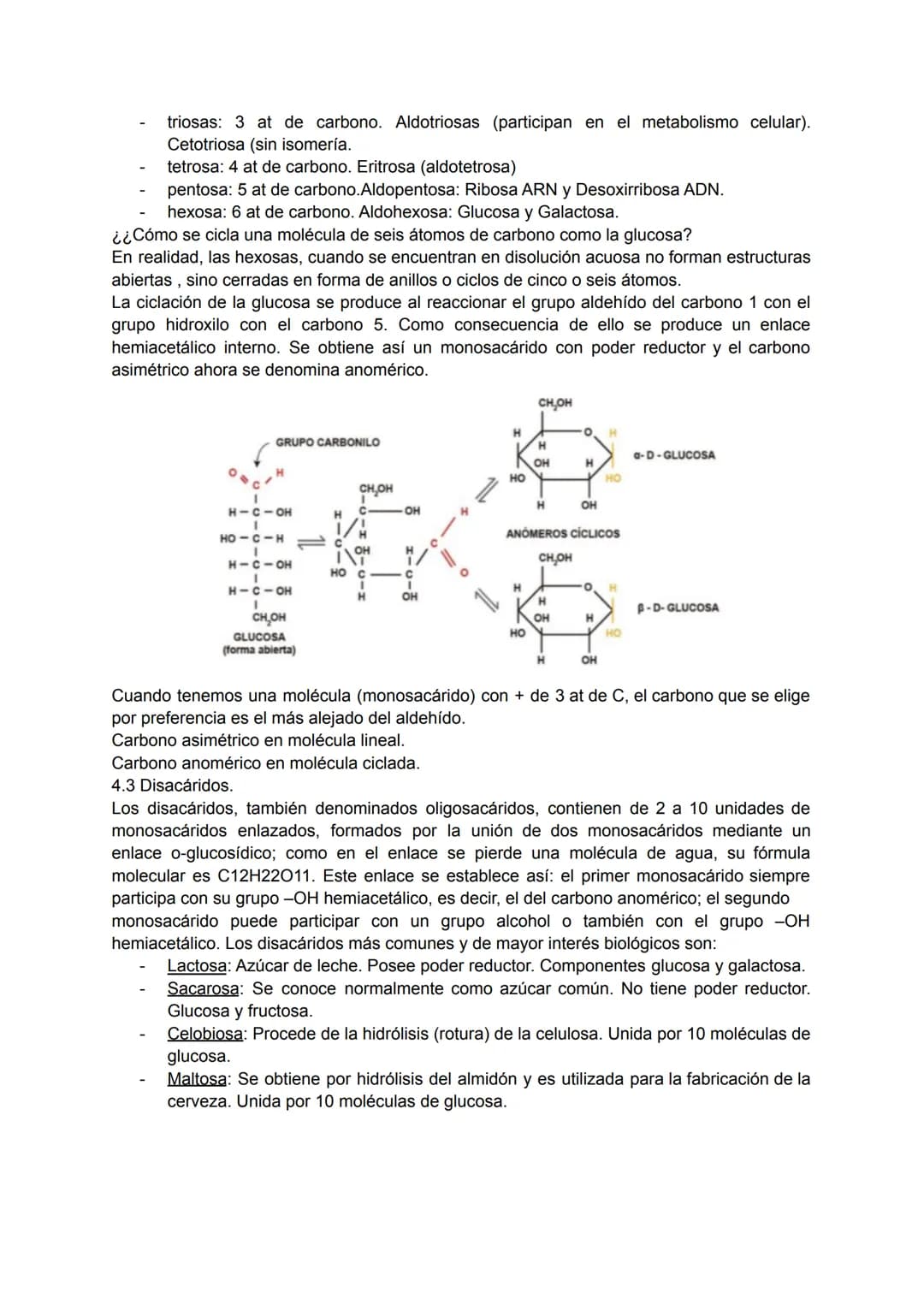 TEMA 4: BIOQUÍMICA
1. LA COMPOSICIÓN DE LOS SERES VIVOS.
Todos los seres vivos que ves a tu alrededor están formados por la combinación
fund