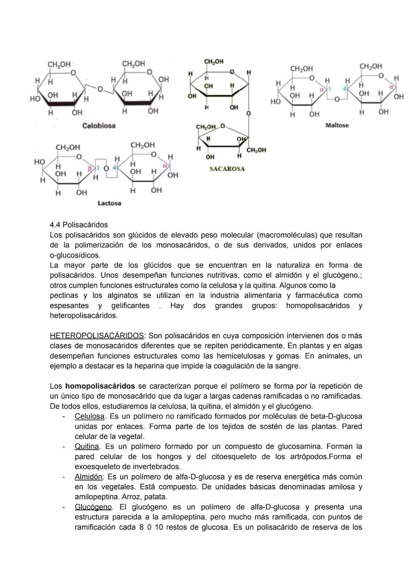 TEMA 4: BIOQUÍMICA
1. LA COMPOSICIÓN DE LOS SERES VIVOS.
Todos los seres vivos que ves a tu alrededor están formados por la combinación
fund