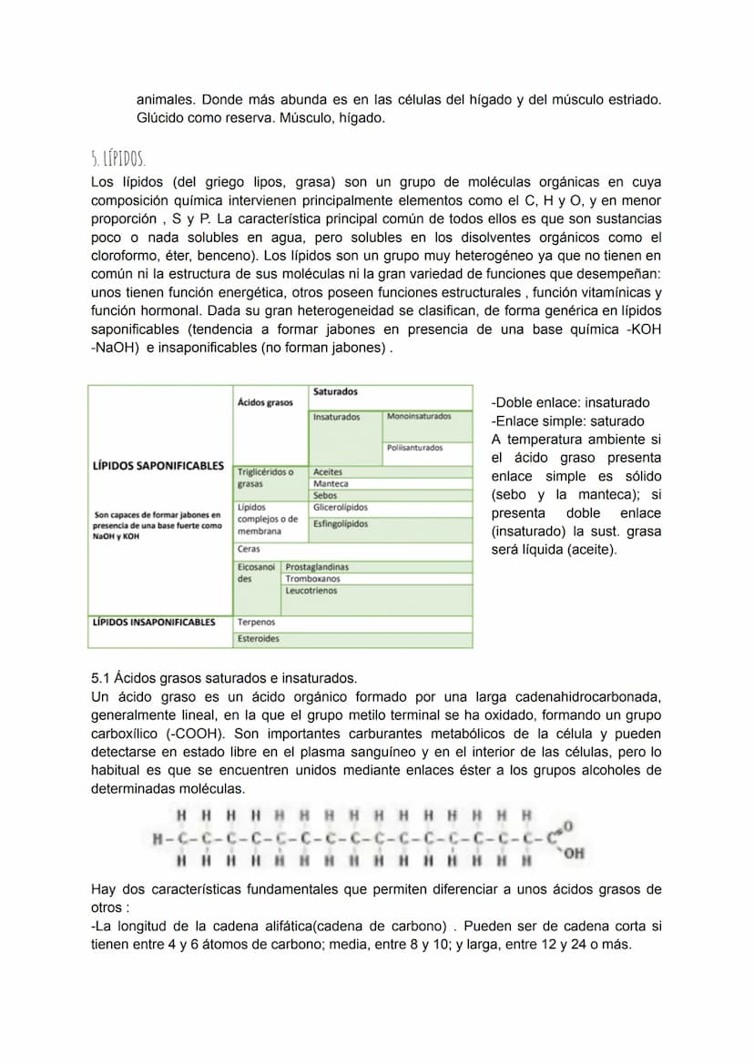 TEMA 4: BIOQUÍMICA
1. LA COMPOSICIÓN DE LOS SERES VIVOS.
Todos los seres vivos que ves a tu alrededor están formados por la combinación
fund