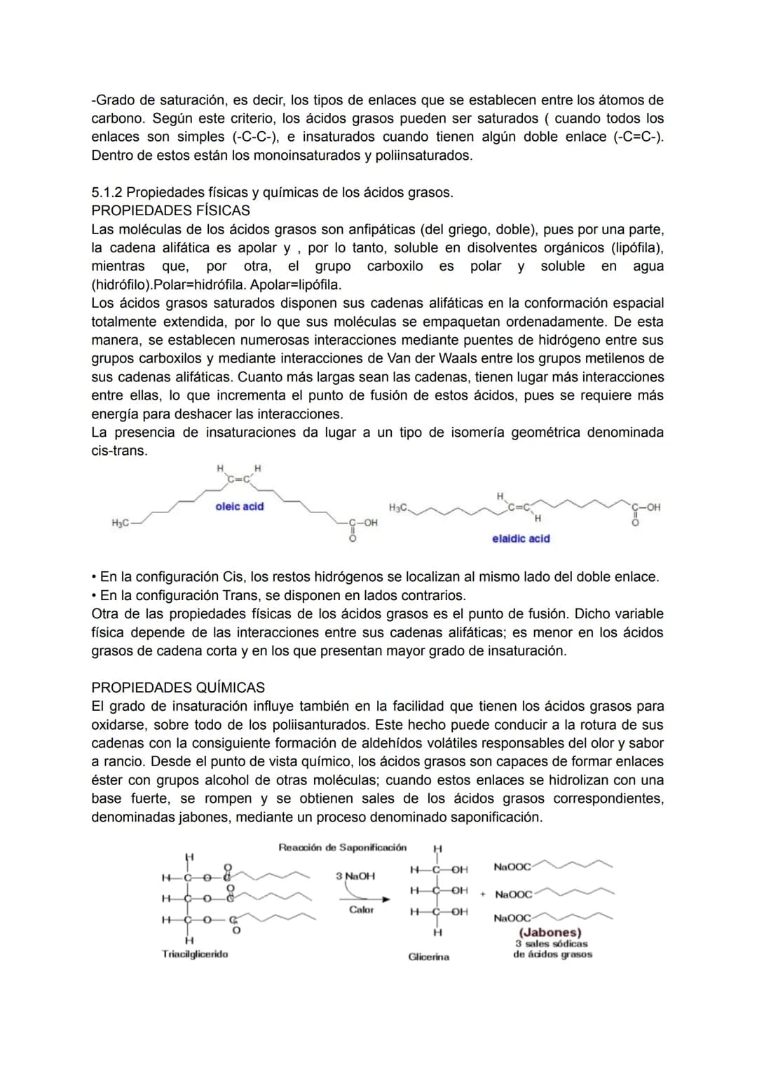 TEMA 4: BIOQUÍMICA
1. LA COMPOSICIÓN DE LOS SERES VIVOS.
Todos los seres vivos que ves a tu alrededor están formados por la combinación
fund