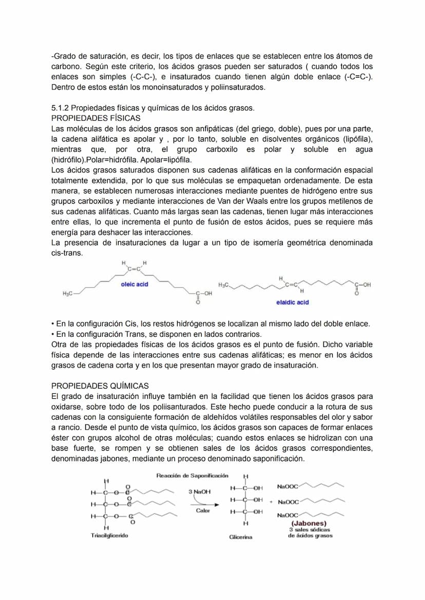 TEMA 4: BIOQUÍMICA
1. LA COMPOSICIÓN DE LOS SERES VIVOS.
Todos los seres vivos que ves a tu alrededor están formados por la combinación
fund