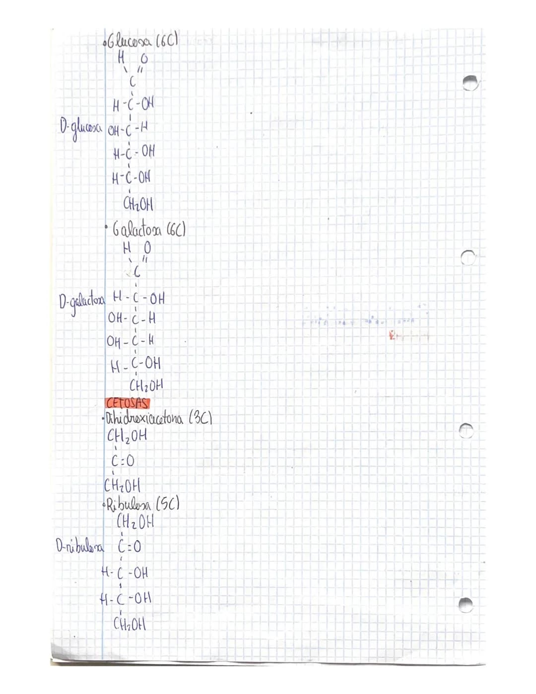 TEMA 3 GLUCIDOS
CONCEPTO YCLASIFICACIÓN
ios glúcido son biomoleculas formadas atomos de carbono (C),
реп
hidrogene (H) y oxigeno (0), aunque