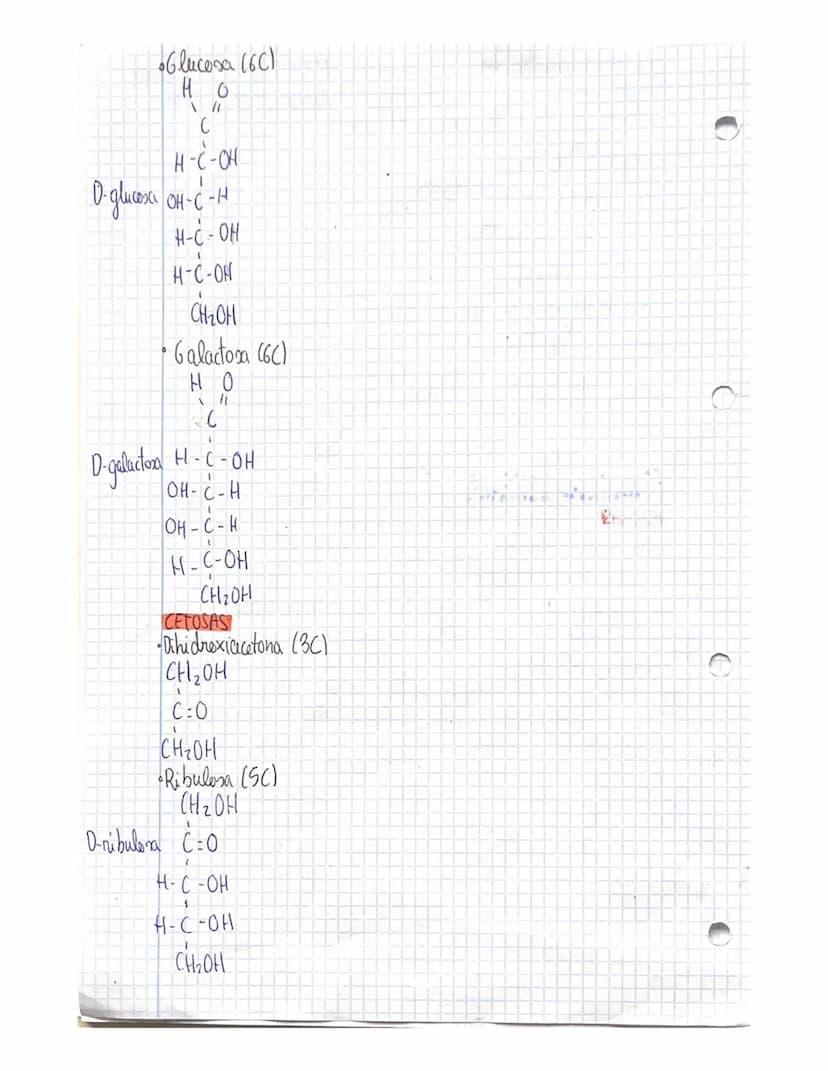 TEMA 3 GLUCIDOS
CONCEPTO YCLASIFICACIÓN
ios glúcido son biomoleculas formadas atomos de carbono (C),
реп
hidrogene (H) y oxigeno (0), aunque