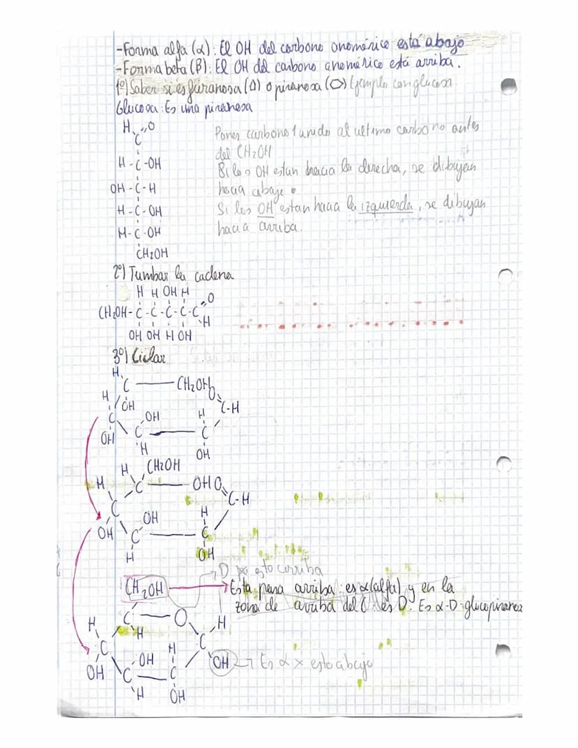 TEMA 3 GLUCIDOS
CONCEPTO YCLASIFICACIÓN
ios glúcido son biomoleculas formadas atomos de carbono (C),
реп
hidrogene (H) y oxigeno (0), aunque