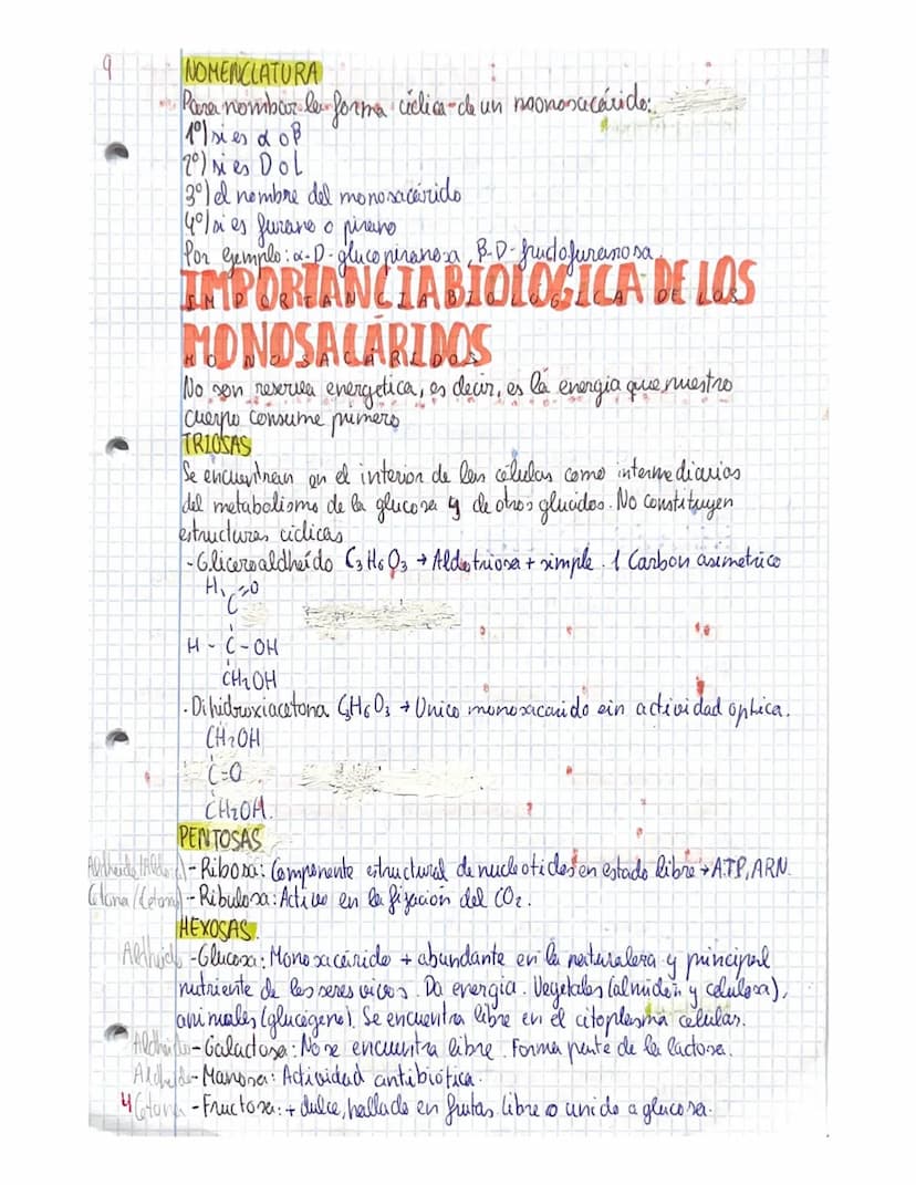 TEMA 3 GLUCIDOS
CONCEPTO YCLASIFICACIÓN
ios glúcido son biomoleculas formadas atomos de carbono (C),
реп
hidrogene (H) y oxigeno (0), aunque