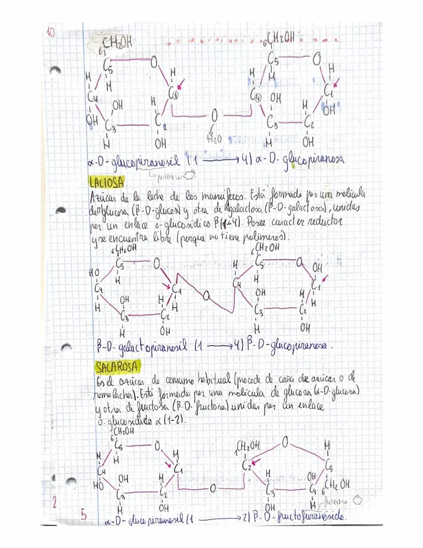 TEMA 3 GLUCIDOS
CONCEPTO YCLASIFICACIÓN
ios glúcido son biomoleculas formadas atomos de carbono (C),
реп
hidrogene (H) y oxigeno (0), aunque