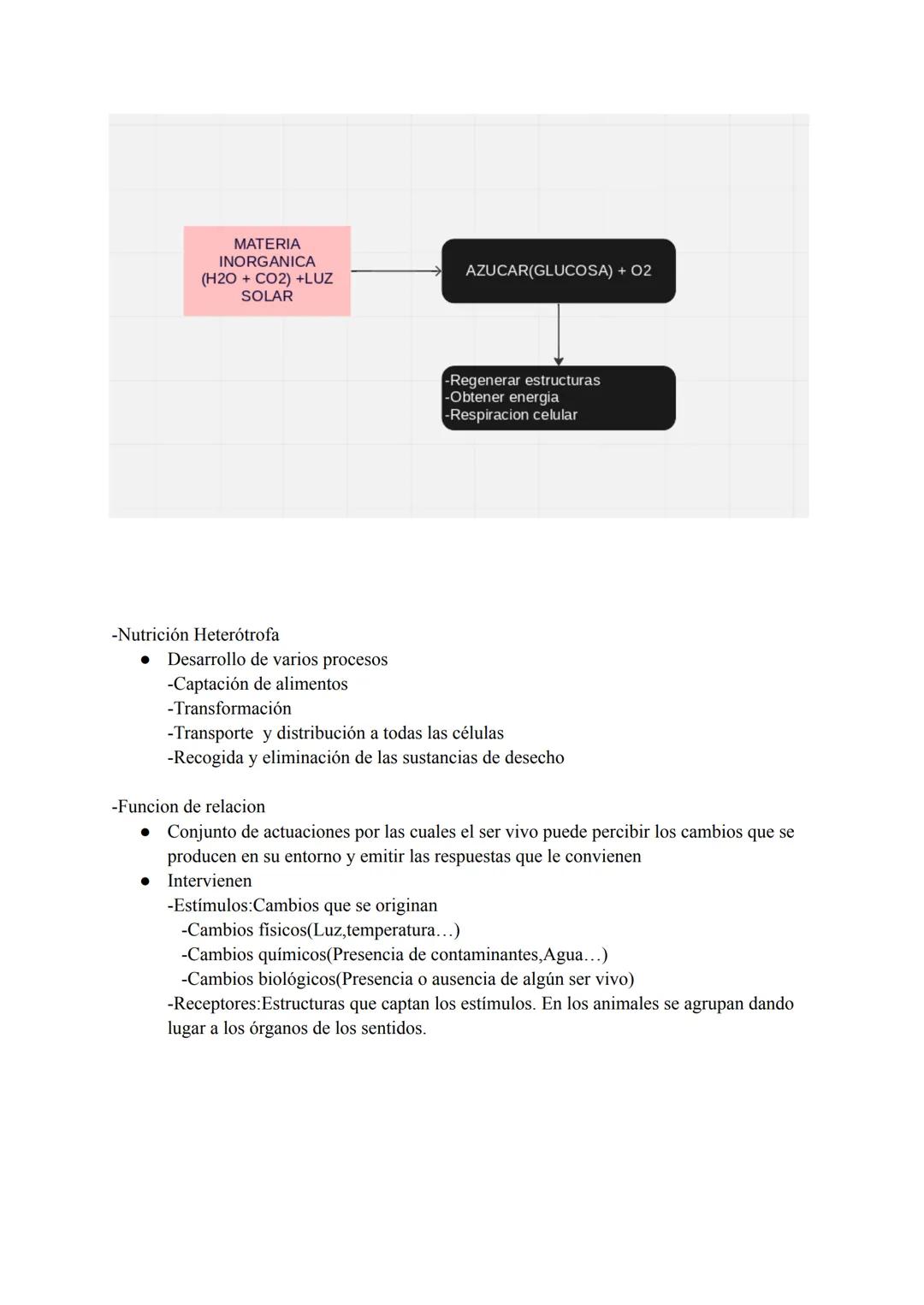 # TEMA 1:LOS NIVELES DE ORGANIZACIÓN

¿Qué es la anatomía?

-Del griego "anatome", significa "corte, disección"

-Ciencia que estudia las es