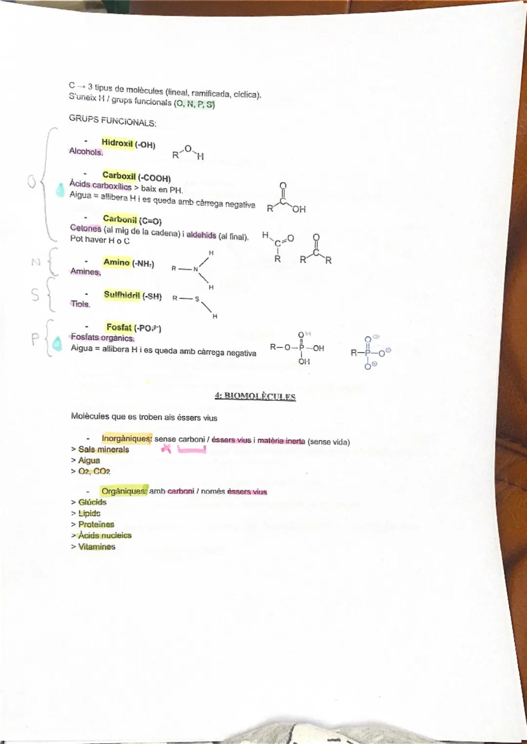 # 1: LA BIOLOGIA I ELS ÉSSERS VIUS

Els organismes vius fan les 3 funcions vitals:
1.  Nutrició (alimentació, digestió, excreció, respiració