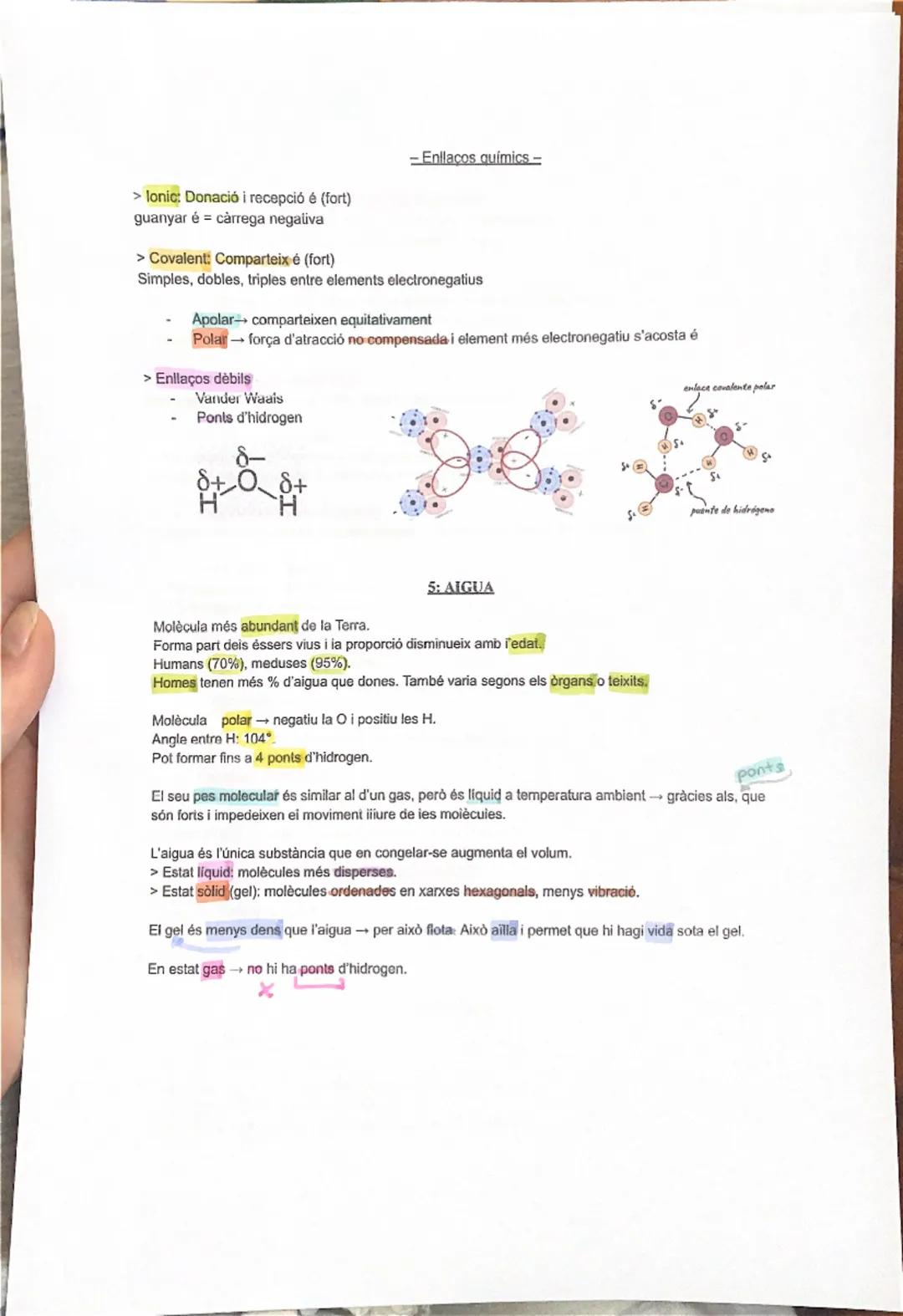 # 1: LA BIOLOGIA I ELS ÉSSERS VIUS

Els organismes vius fan les 3 funcions vitals:
1.  Nutrició (alimentació, digestió, excreció, respiració