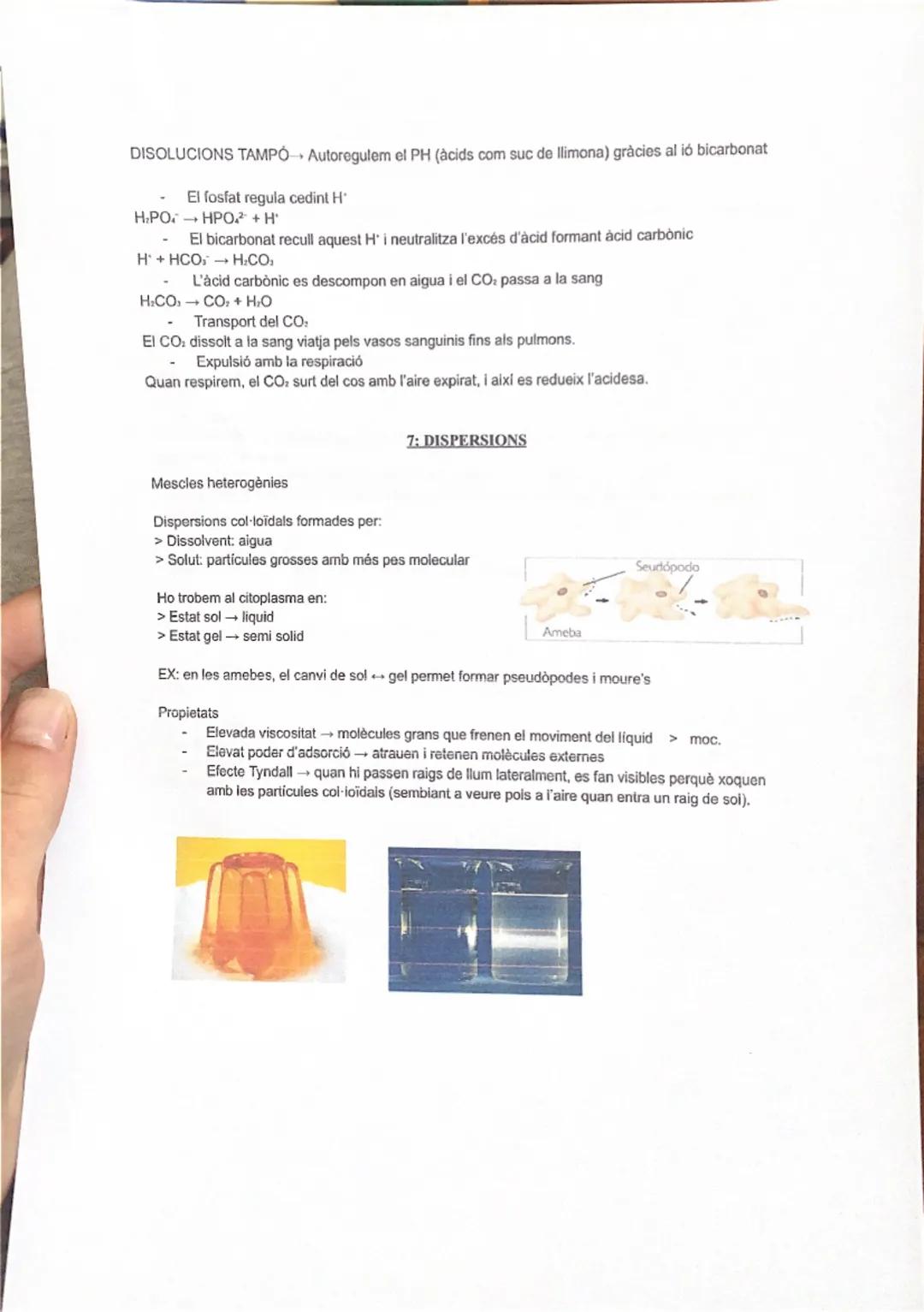 # 1: LA BIOLOGIA I ELS ÉSSERS VIUS

Els organismes vius fan les 3 funcions vitals:
1.  Nutrició (alimentació, digestió, excreció, respiració