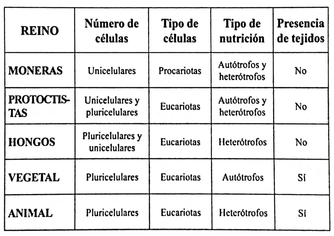 Descubre el Reino Monera y Las Diferencias Entre Células