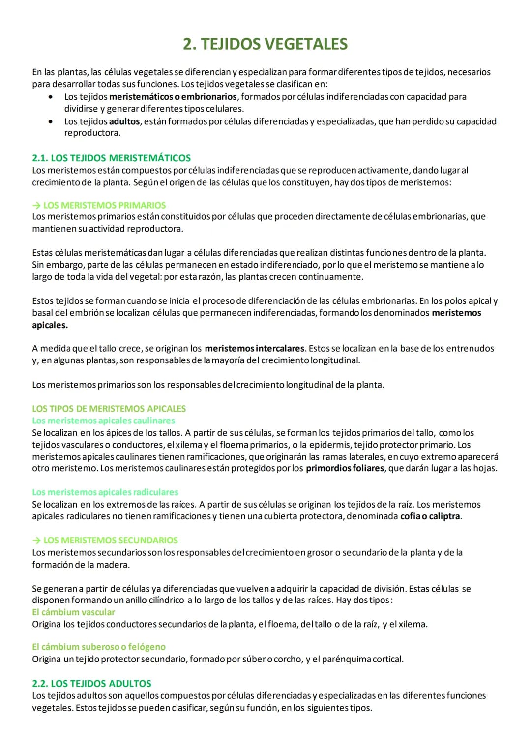 2. TEJIDOS VEGETALES
En las plantas, las células vegetales se diferencian y especializan para formar diferentes tipos de tejidos, necesarios