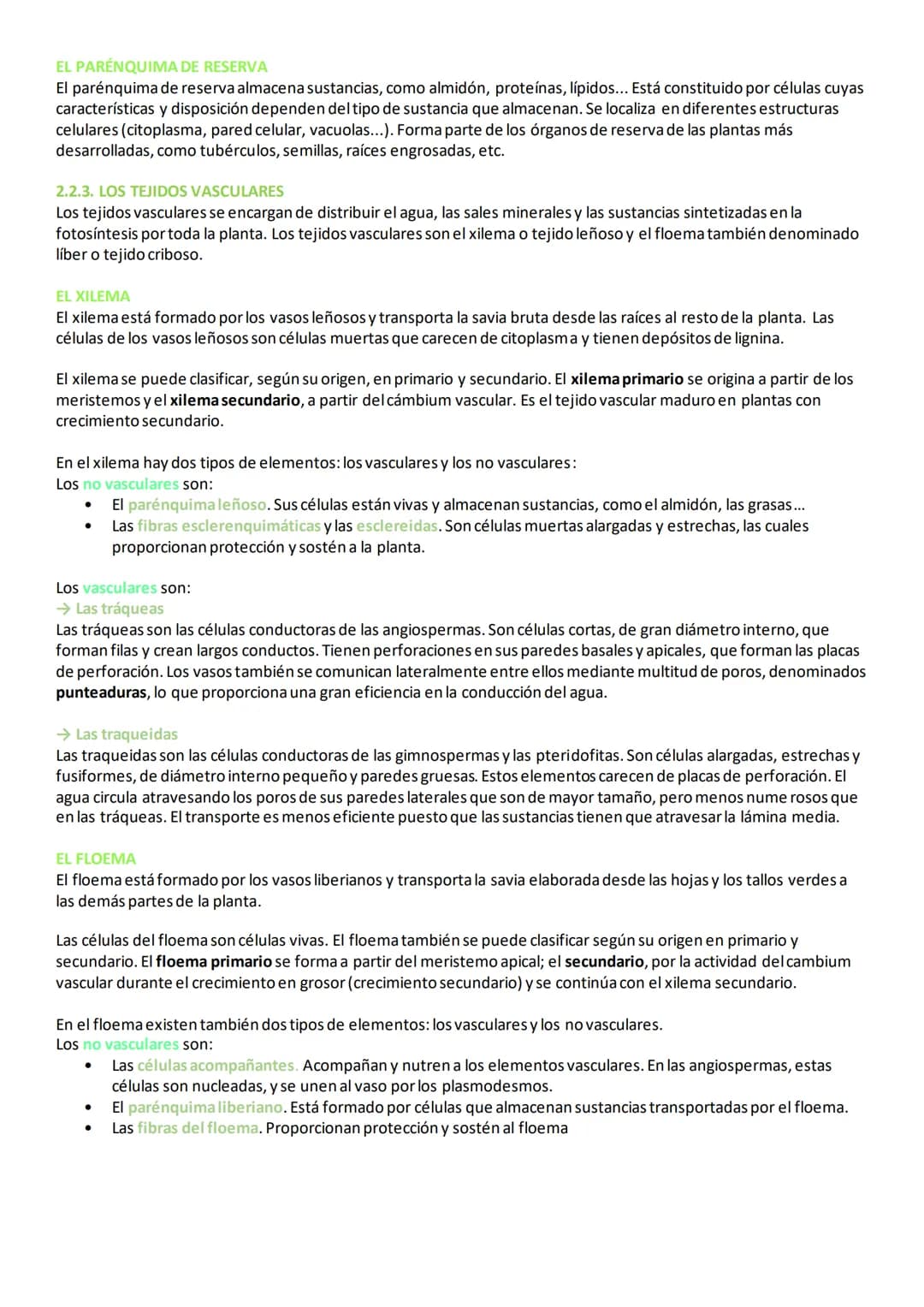 2. TEJIDOS VEGETALES
En las plantas, las células vegetales se diferencian y especializan para formar diferentes tipos de tejidos, necesarios