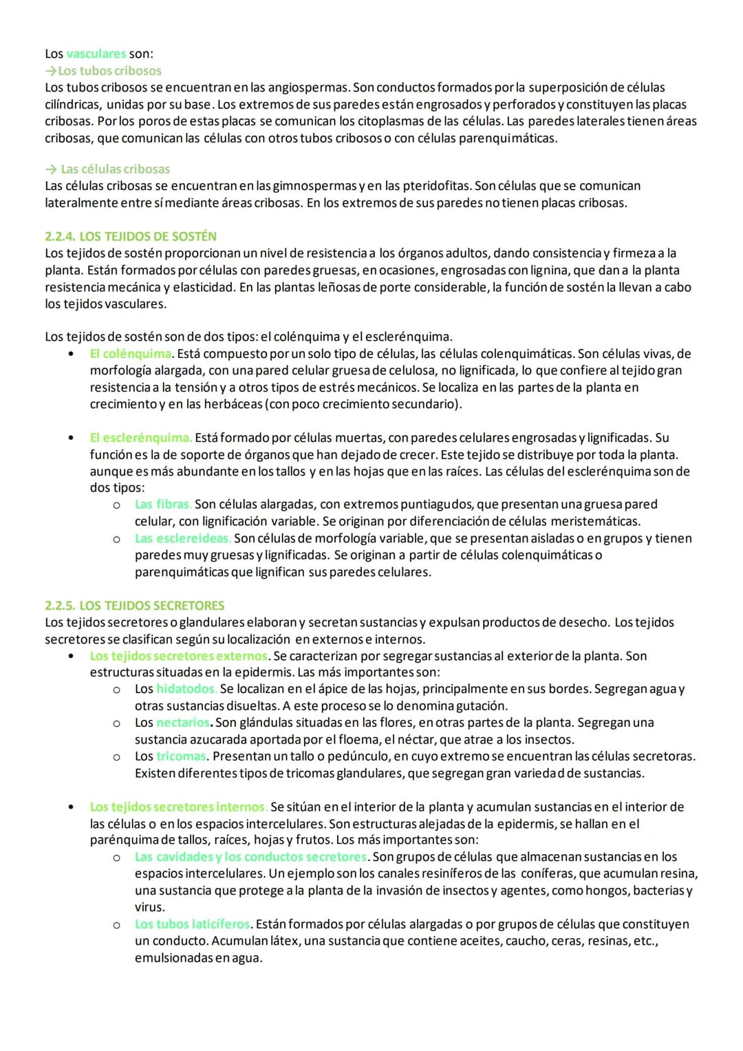 2. TEJIDOS VEGETALES
En las plantas, las células vegetales se diferencian y especializan para formar diferentes tipos de tejidos, necesarios