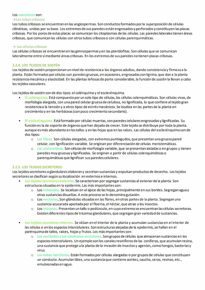 2. TEJIDOS VEGETALES
En las plantas, las células vegetales se diferencian y especializan para formar diferentes tipos de tejidos, necesarios