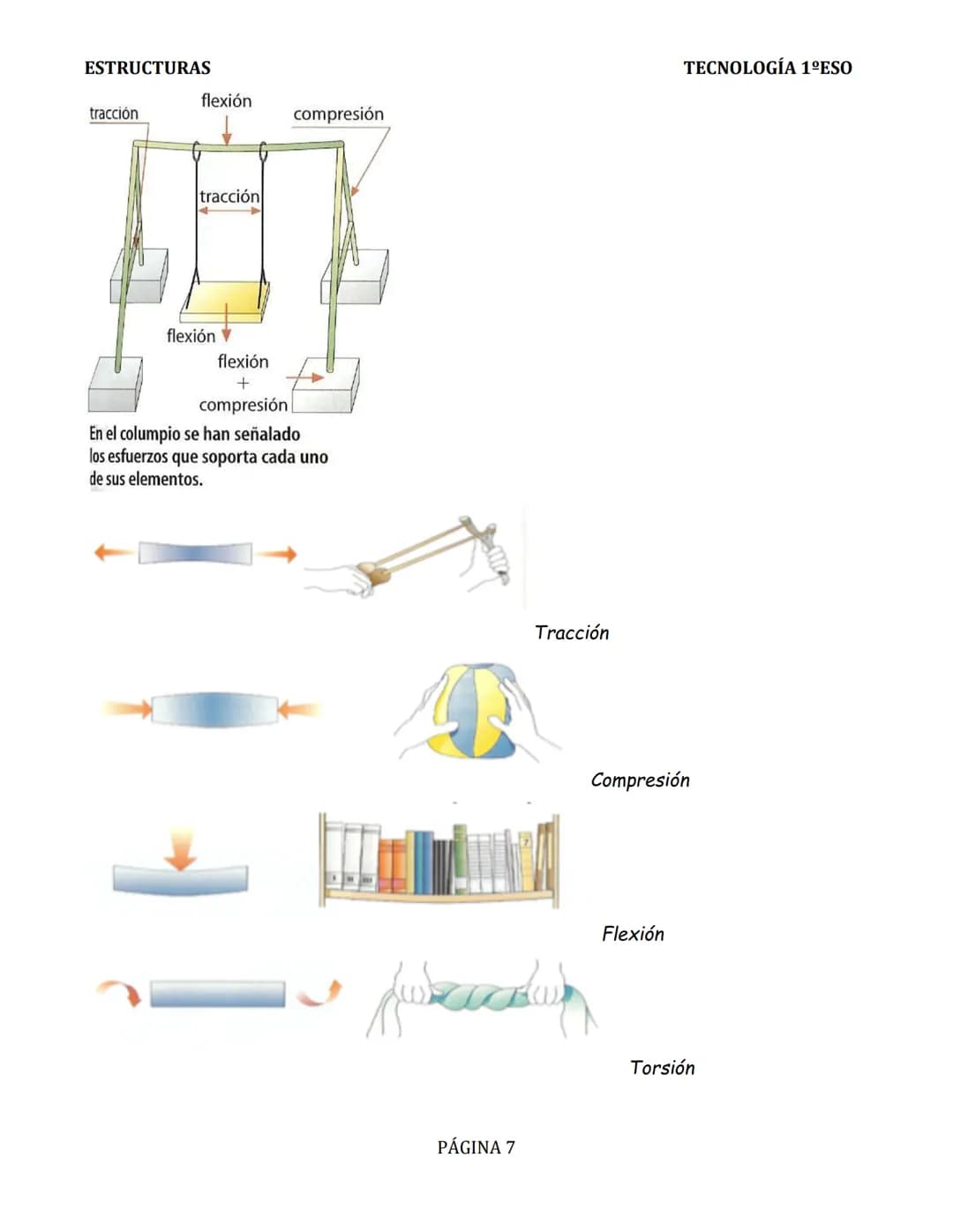ESTRUCTURAS
TEMA 2: ESTRUCTURAS
INTRODUCCIÓN.
Todos los cuerpos poseen algún tipo de
estructura. Las estructuras se encuentran en la
natural