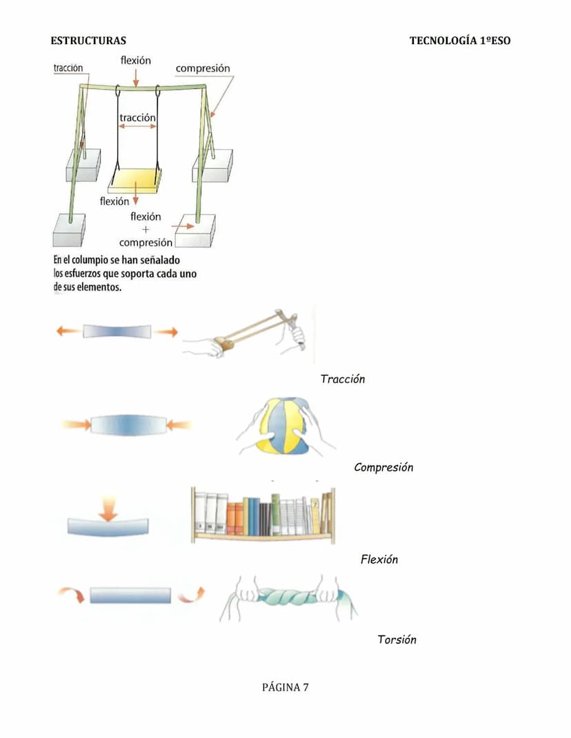 ESTRUCTURAS
TEMA 2: ESTRUCTURAS
INTRODUCCIÓN.
Todos los cuerpos poseen algún tipo de
estructura. Las estructuras se encuentran en la
natural