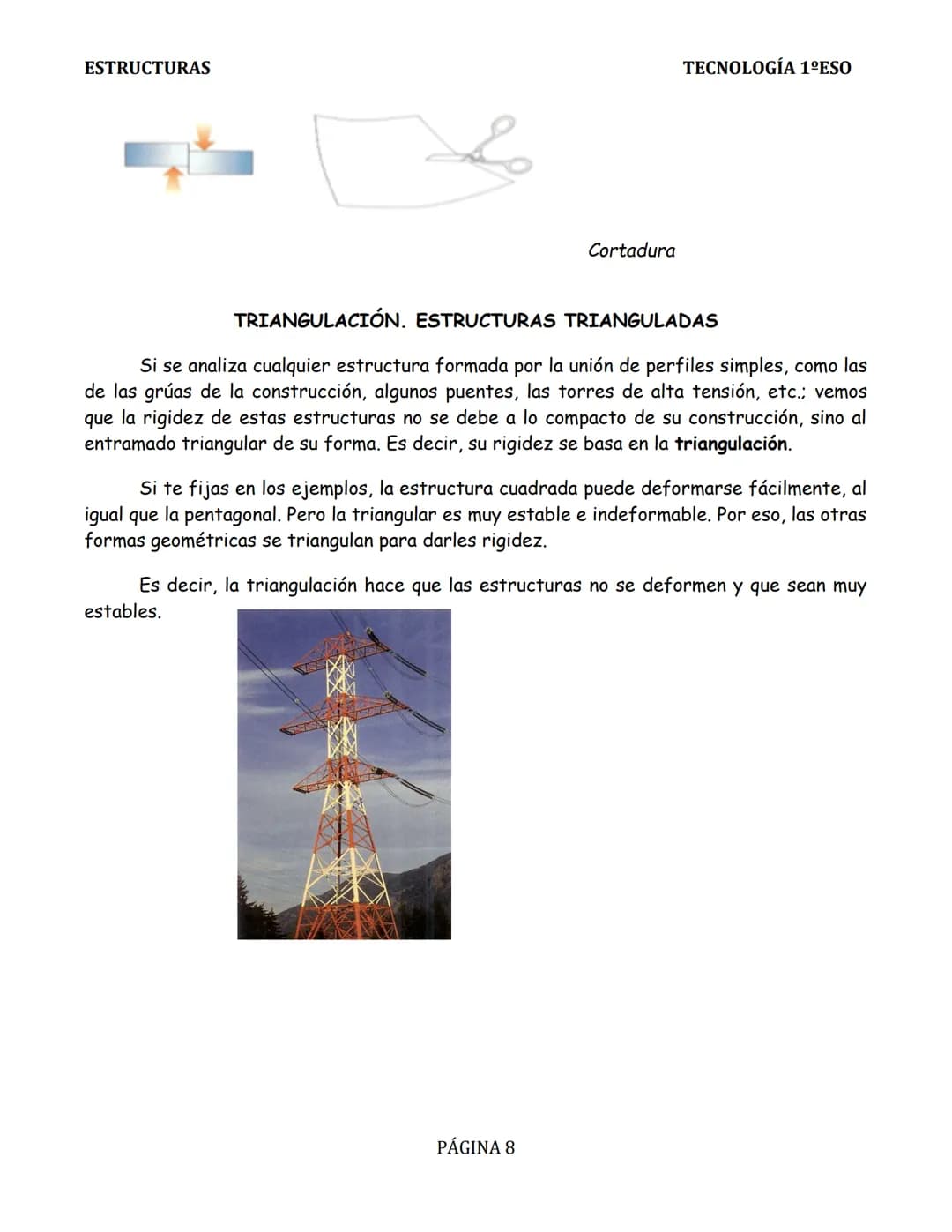 ESTRUCTURAS
TEMA 2: ESTRUCTURAS
INTRODUCCIÓN.
Todos los cuerpos poseen algún tipo de
estructura. Las estructuras se encuentran en la
natural