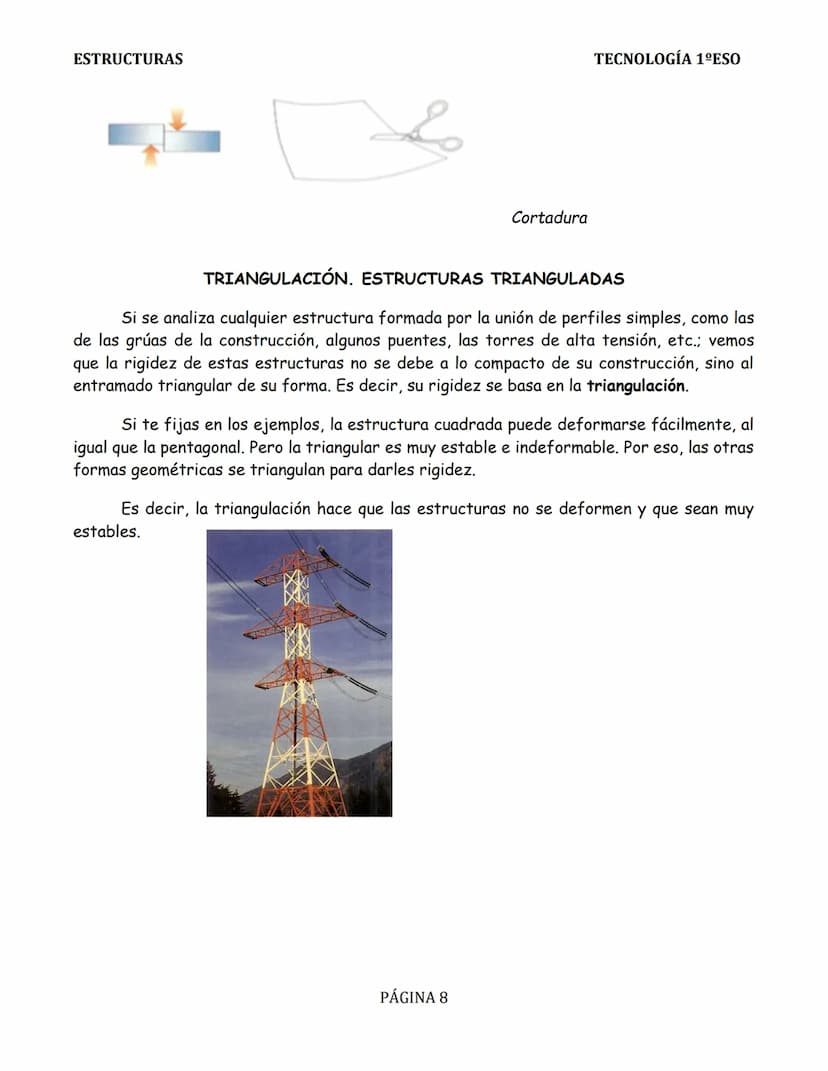 ESTRUCTURAS
TEMA 2: ESTRUCTURAS
INTRODUCCIÓN.
Todos los cuerpos poseen algún tipo de
estructura. Las estructuras se encuentran en la
natural