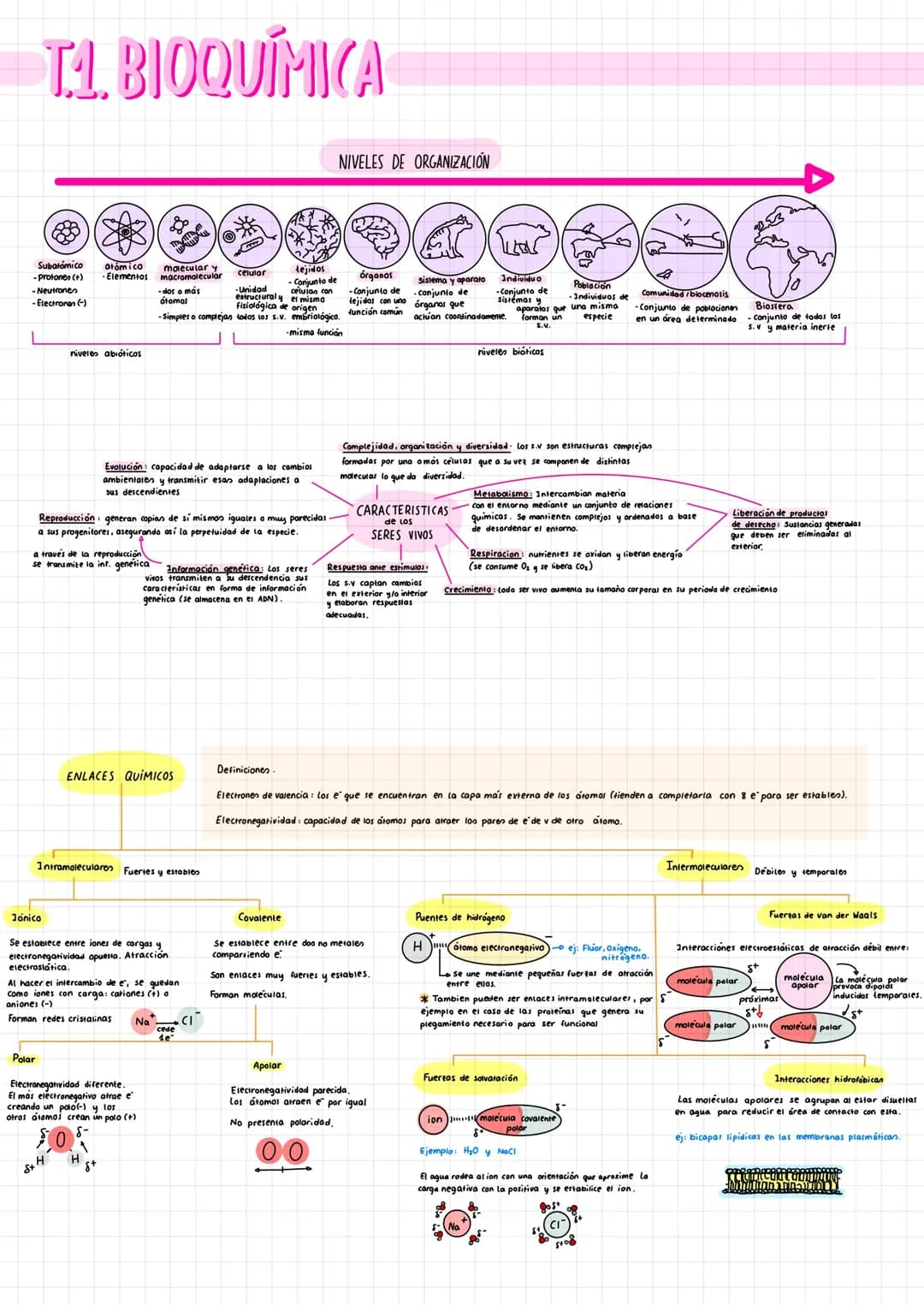  Introducción y moléculas inorgánicas 