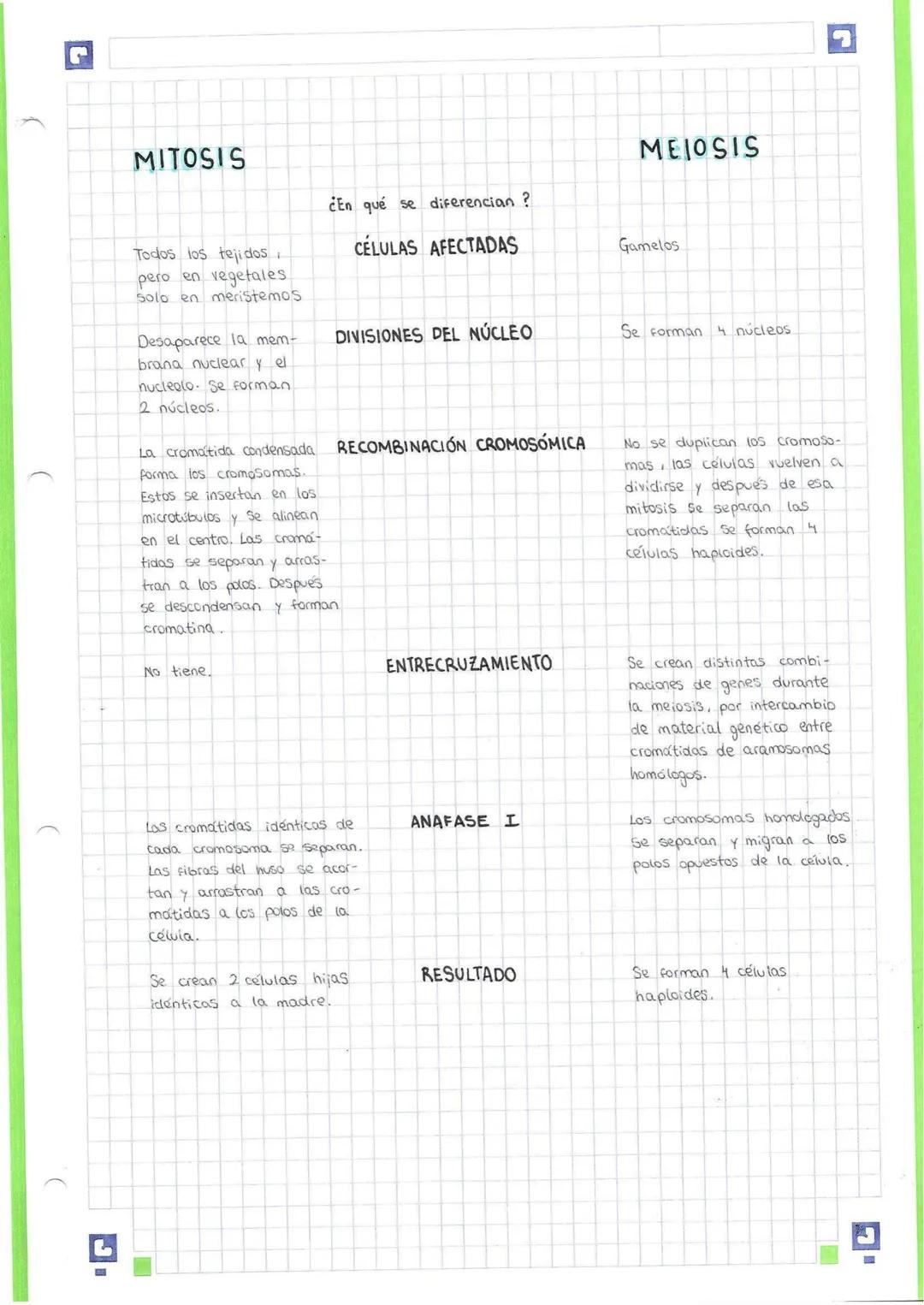 Compara y Contrasta Mitosis-Meiosis y Palabras Clave