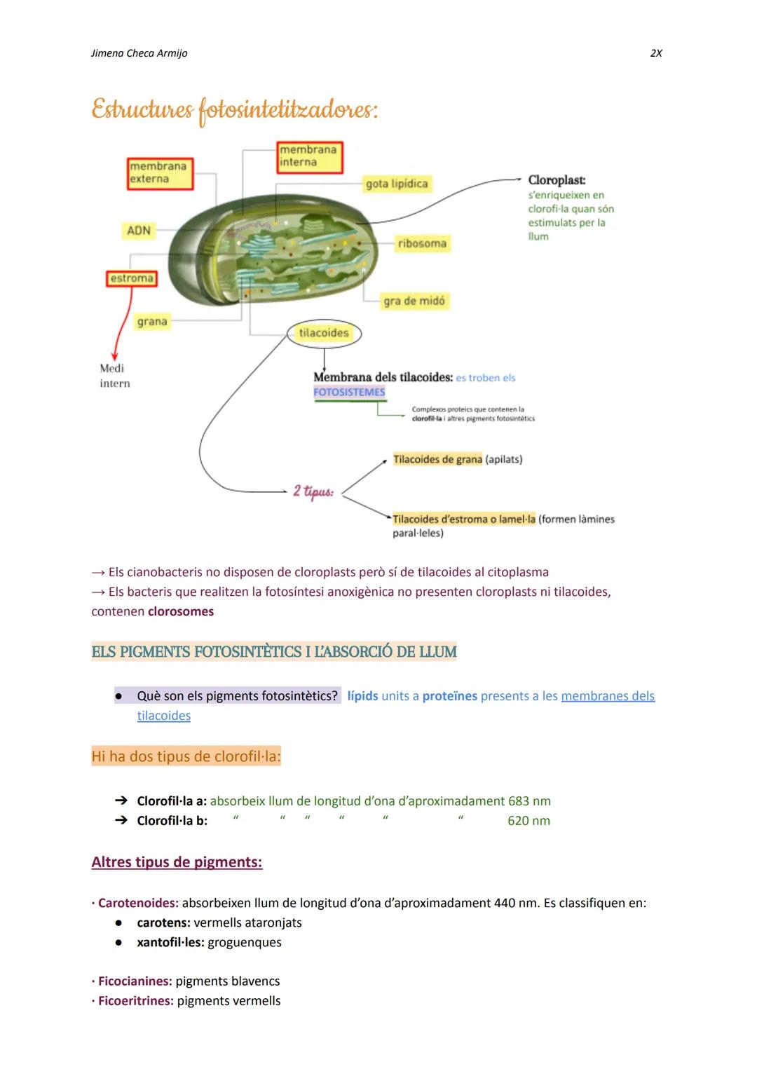 Jimena Checa Armijo

ANABOLISME AUTOTROF

Què és l'ANABOLISME? Via constructiva del metabolisme, és a dir, es fa una síntesi de
molècules co