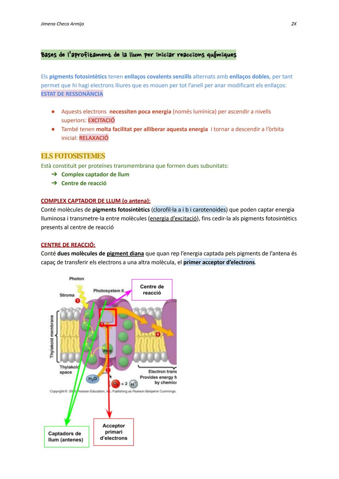 Jimena Checa Armijo

ANABOLISME AUTOTROF

Què és l'ANABOLISME? Via constructiva del metabolisme, és a dir, es fa una síntesi de
molècules co