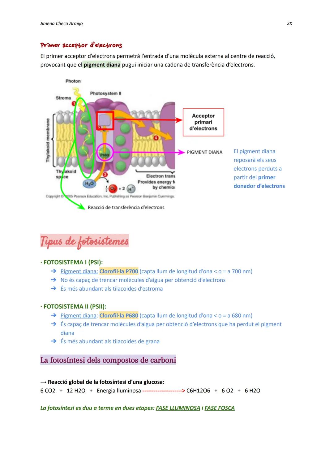 Jimena Checa Armijo

ANABOLISME AUTOTROF

Què és l'ANABOLISME? Via constructiva del metabolisme, és a dir, es fa una síntesi de
molècules co