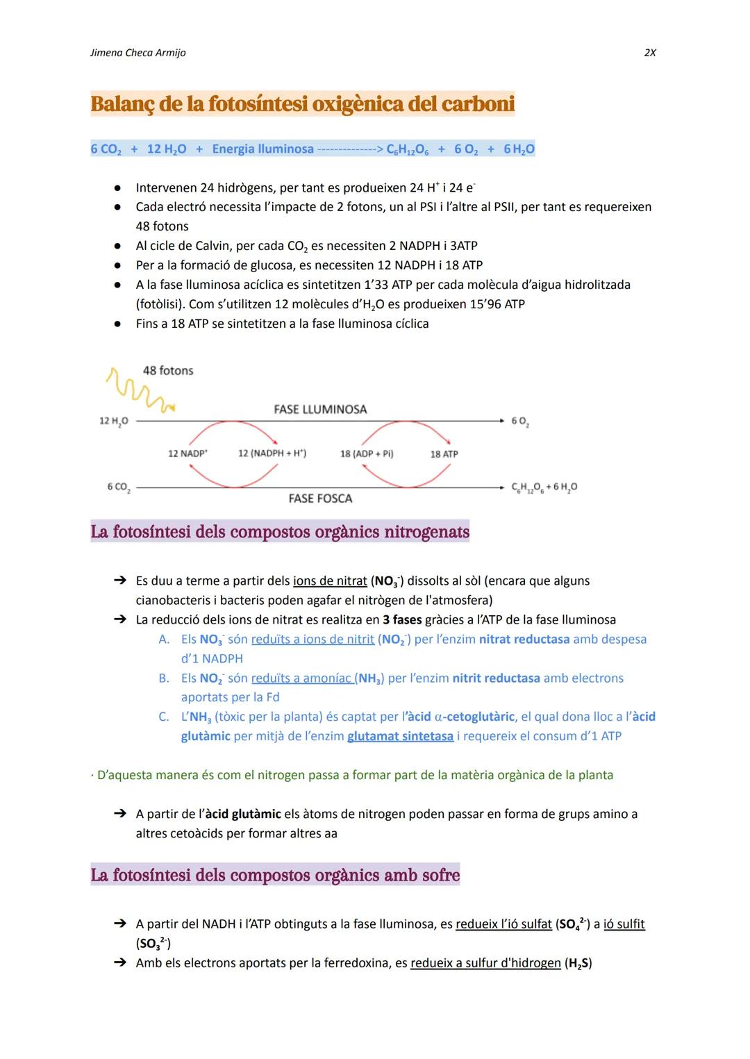 Jimena Checa Armijo

ANABOLISME AUTOTROF

Què és l'ANABOLISME? Via constructiva del metabolisme, és a dir, es fa una síntesi de
molècules co