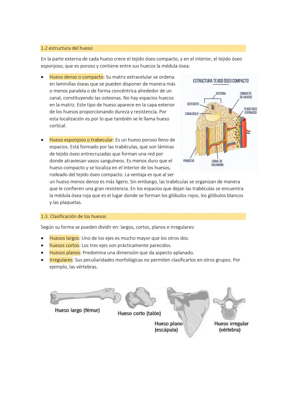 TEMA 3: el
aparato
1. LOS HUESOS
El aparato locomotor o sistema musculoesquelético se compone de los huesos las
articulaciones, ligamentos, 