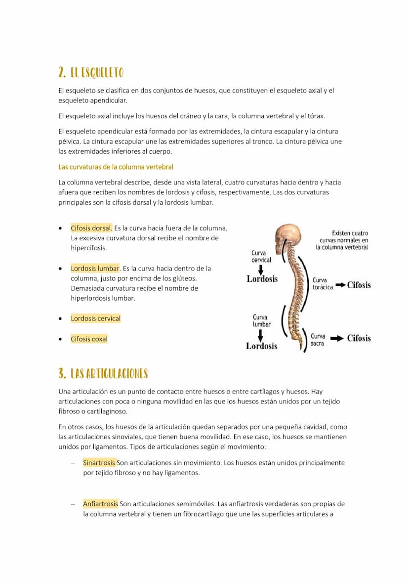 TEMA 3: el
aparato
1. LOS HUESOS
El aparato locomotor o sistema musculoesquelético se compone de los huesos las
articulaciones, ligamentos, 