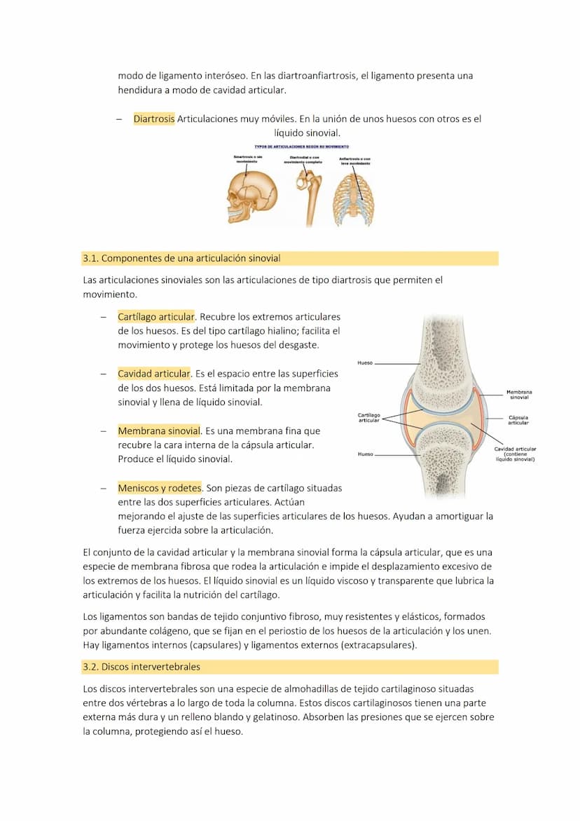 TEMA 3: el
aparato
1. LOS HUESOS
El aparato locomotor o sistema musculoesquelético se compone de los huesos las
articulaciones, ligamentos, 
