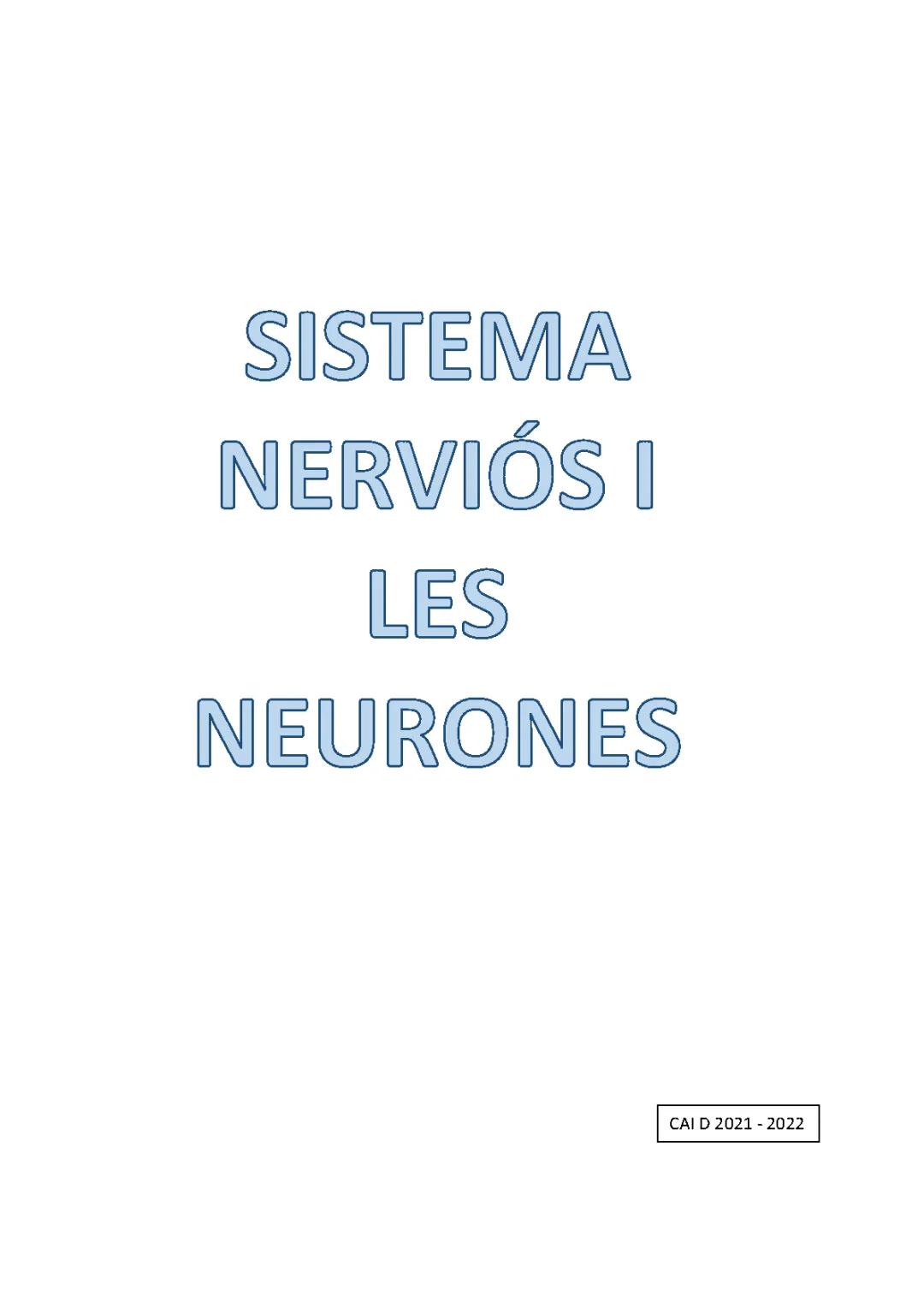 Introducció al sistema nerviós central