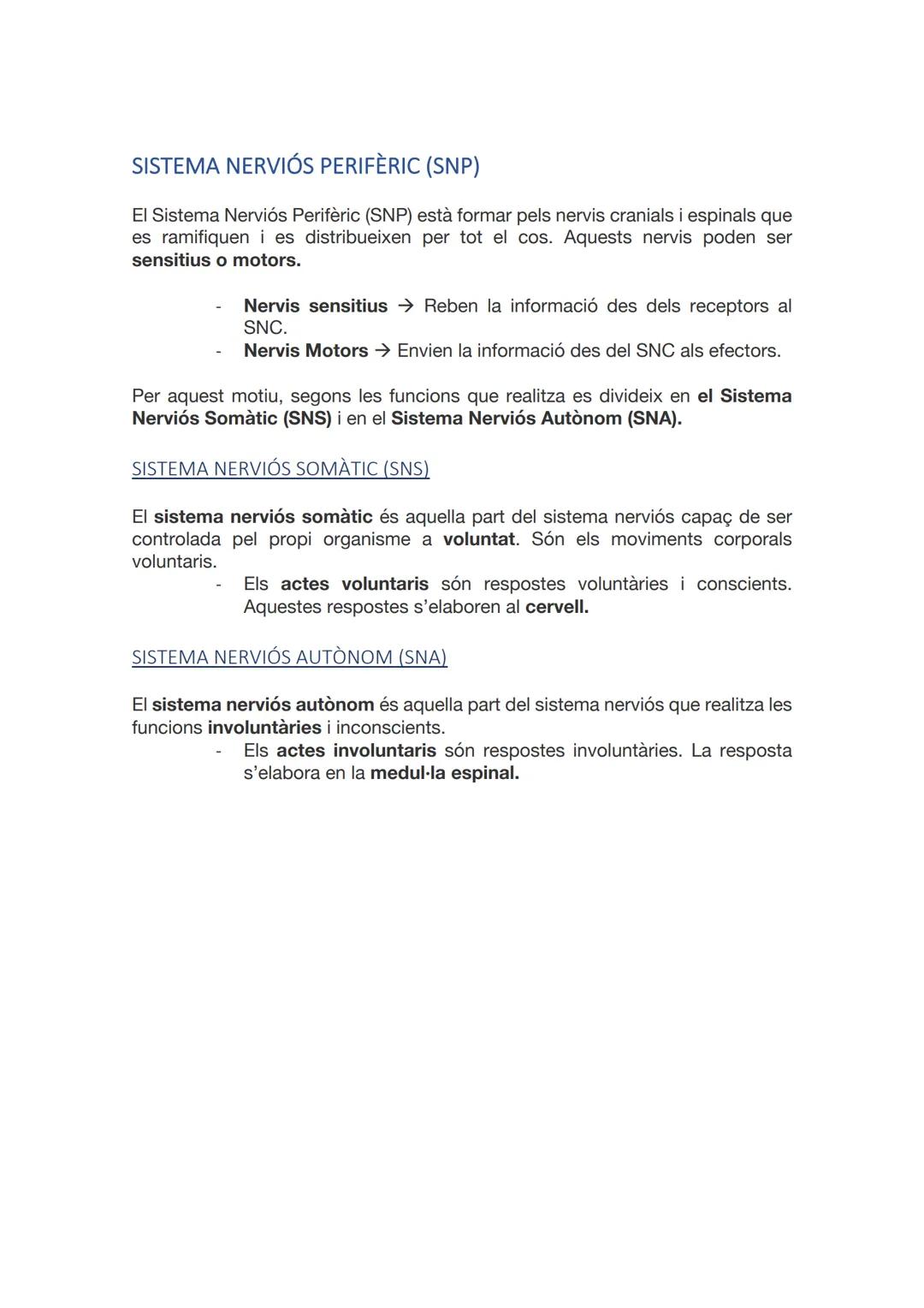 SISTEMA
NERVIÓS I
LES
NEURONES
CAI D 2021-2022 ÍNDEX
INTRODUCCIÓ
ANATOMIA I FISIOLOGIA DEL SISTEMA NERVIÓS.
NEURONES I GLIES.
SINAPSIS.
MIEL
