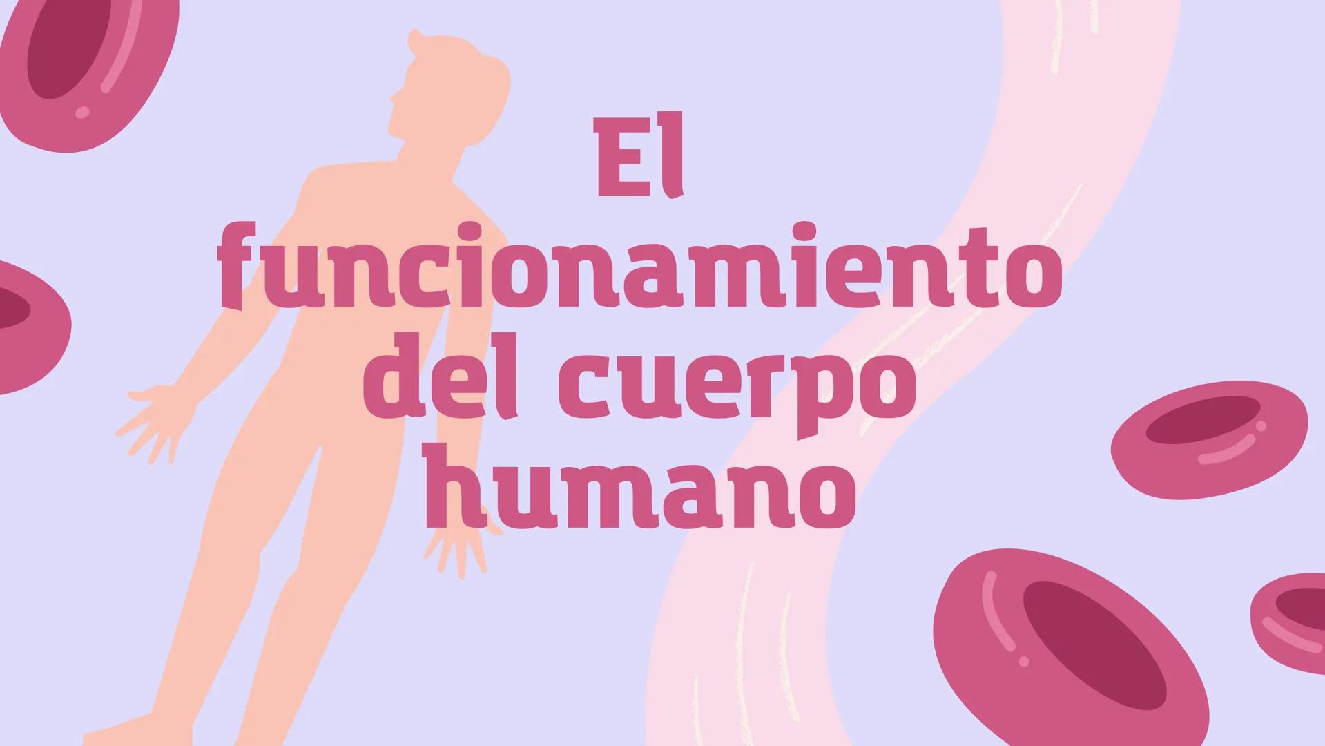 El
funcionamiento
del cuerpo
humano Contenidos
1. Conoce el cuerpo humano
2. ¿Qué ciencia lo estudia?
3. Las células
4. Los sistemas Conoce 