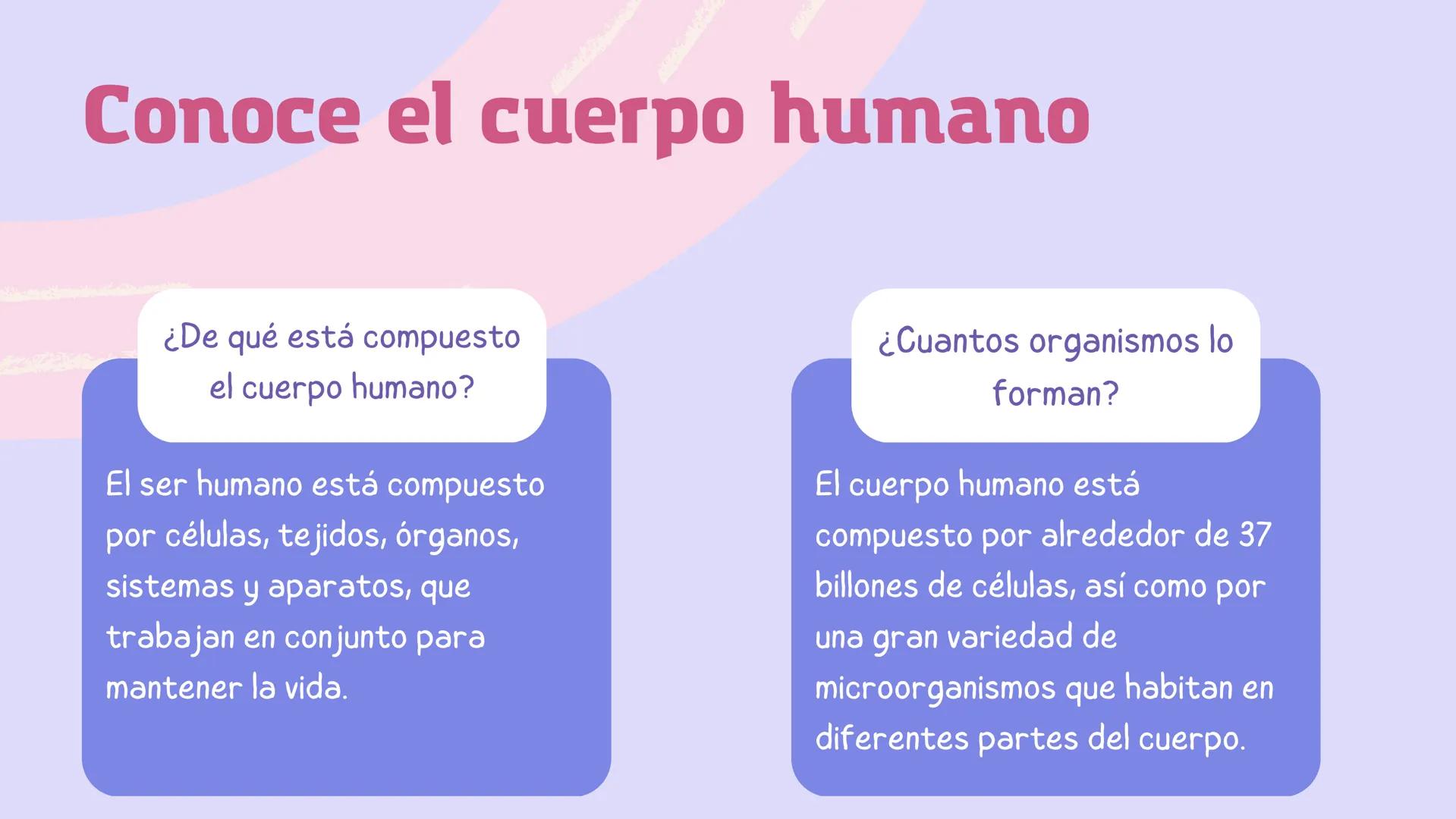 El
funcionamiento
del cuerpo
humano Contenidos
1. Conoce el cuerpo humano
2. ¿Qué ciencia lo estudia?
3. Las células
4. Los sistemas Conoce 