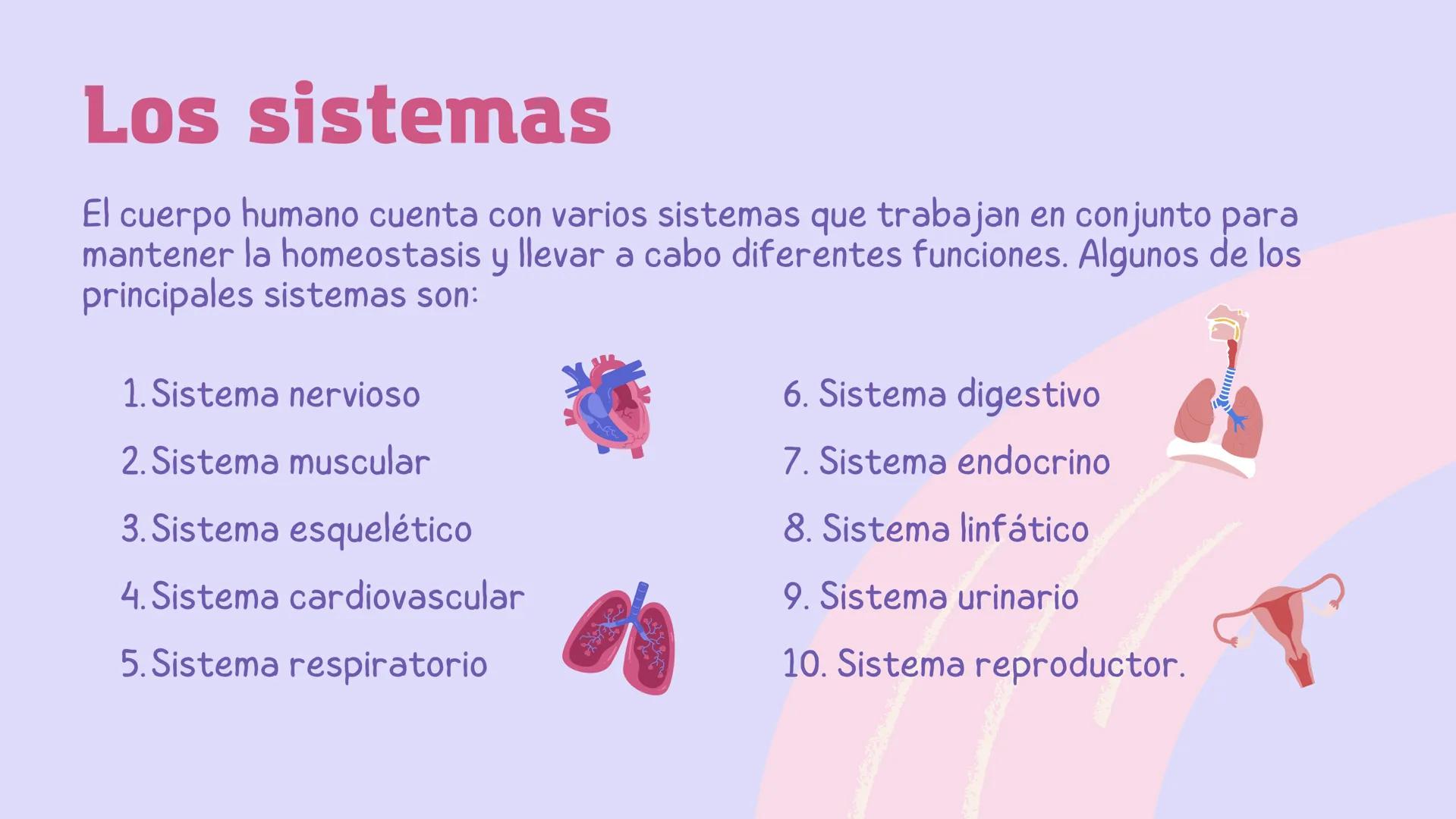 El
funcionamiento
del cuerpo
humano Contenidos
1. Conoce el cuerpo humano
2. ¿Qué ciencia lo estudia?
3. Las células
4. Los sistemas Conoce 