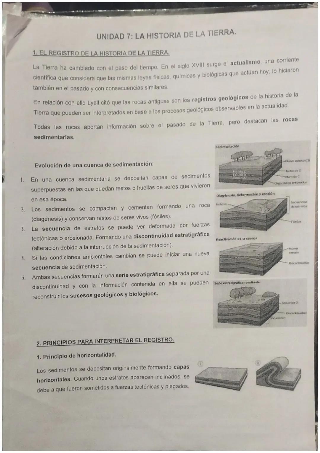 Cortes Geológicos: Análisis y Datos Clave