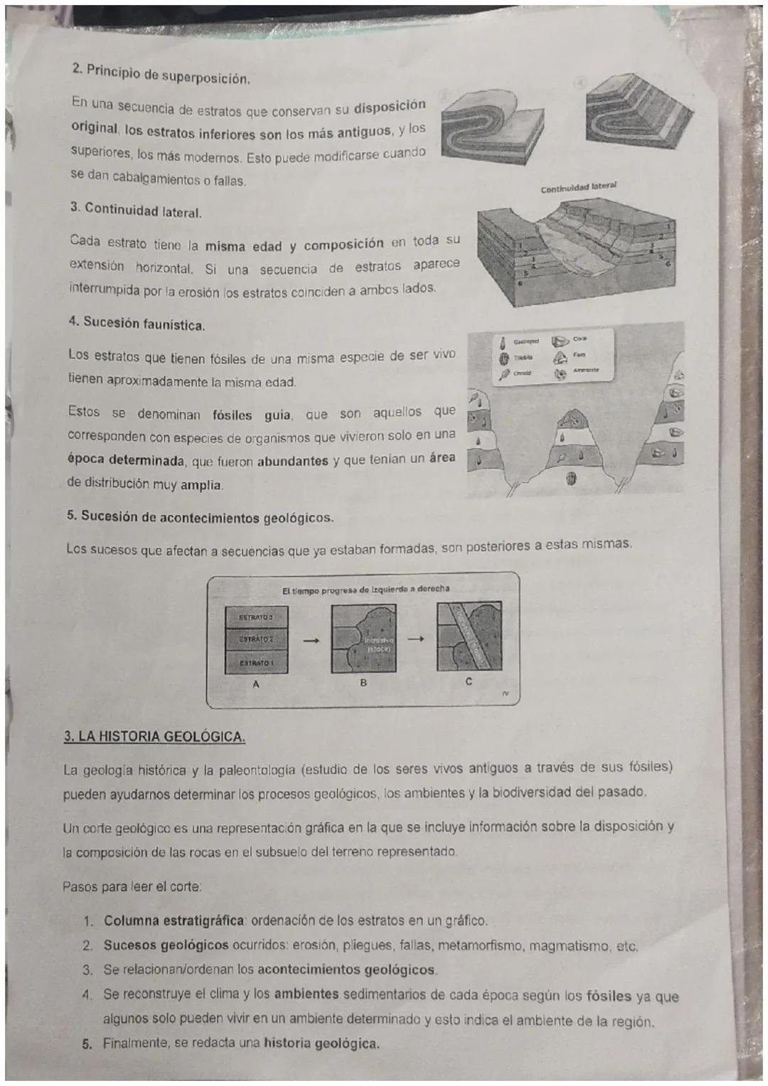 UNIDAD 7: LA HISTORIA DE LA TIERRA.
1. EL REGISTRO DE LA HISTORIA DE LA TIERRA,
La Tierra ha cambiado con el paso del tiempo. En el siglo XV