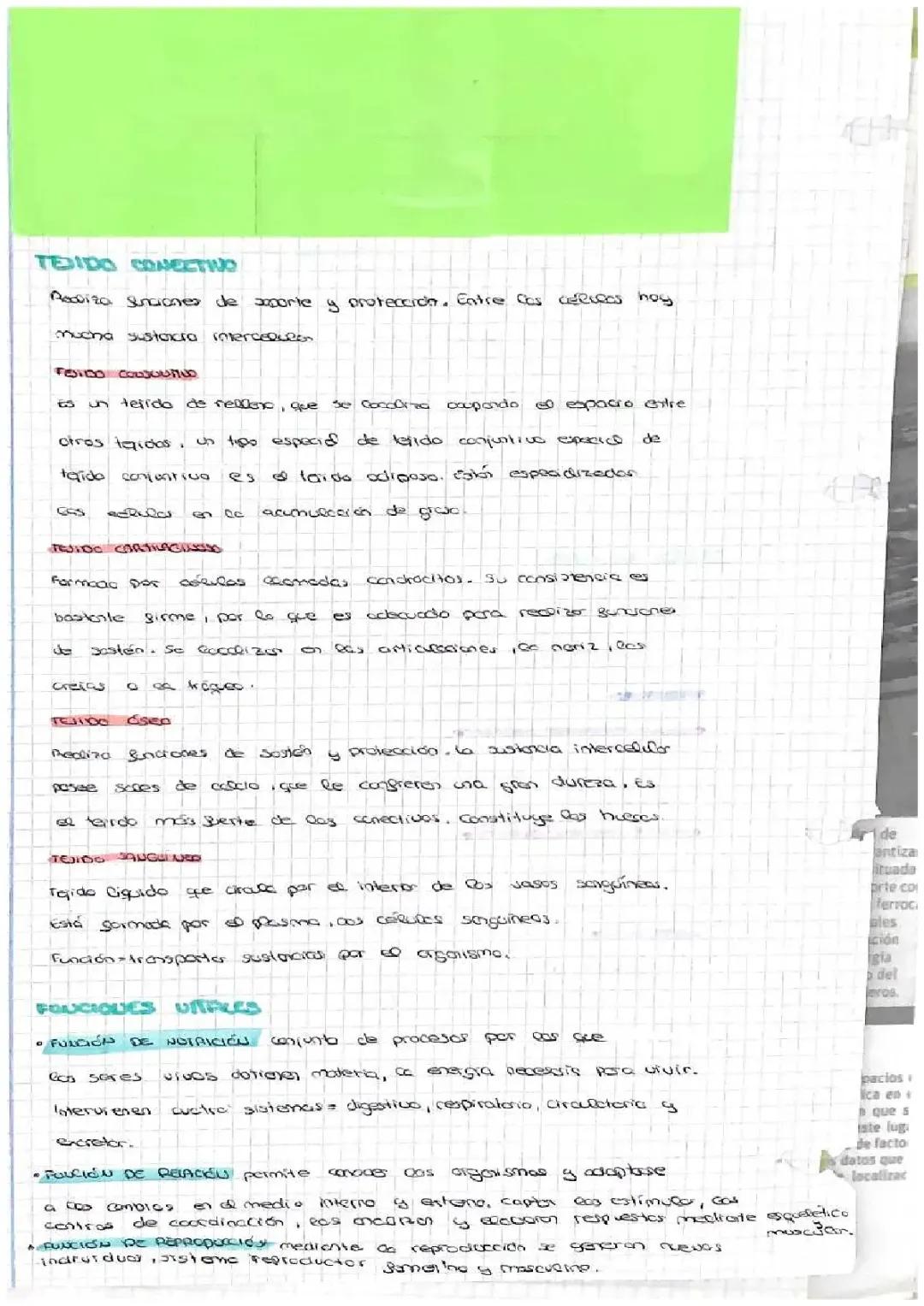 TIPOS DE TEJIDOS Y FUNCIONES VITALES
