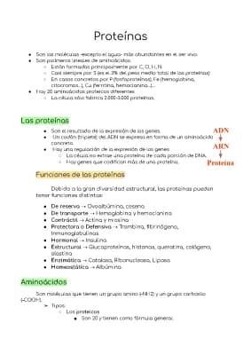 Know Proteinas-Apuntes- 1 Bach thumbnail
