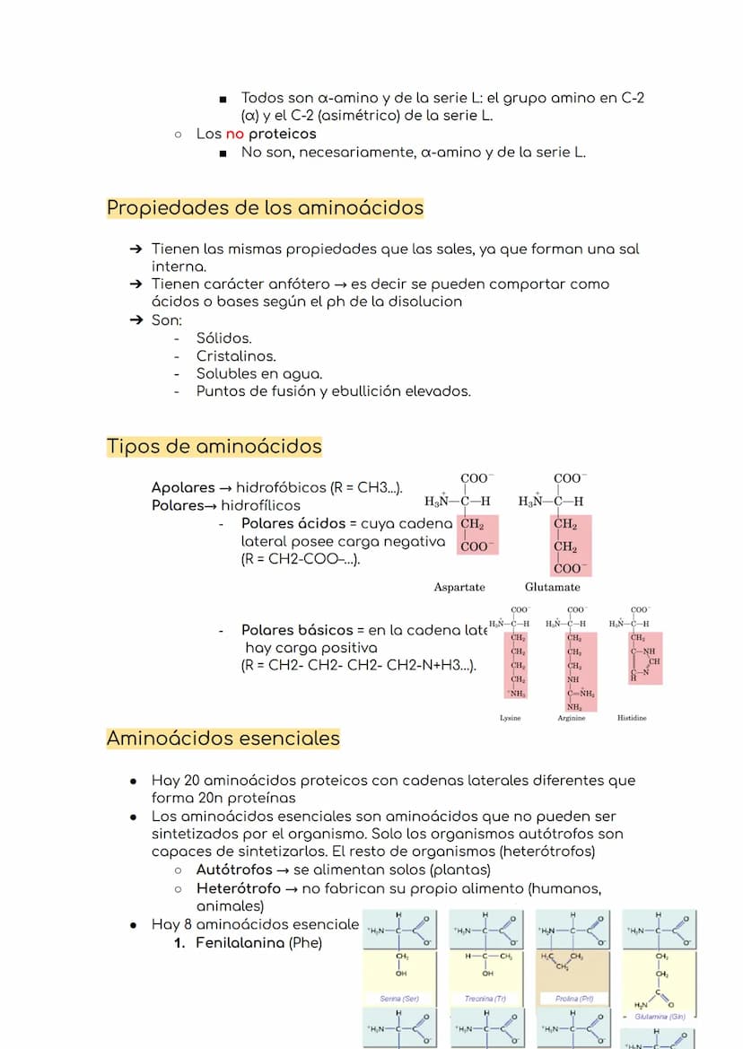 Proteínas
Son las moléculas -excepto el agua- más abundantes en el ser vivo.
Son polímeros lineales de aminoácidos.
O Están formadas princip