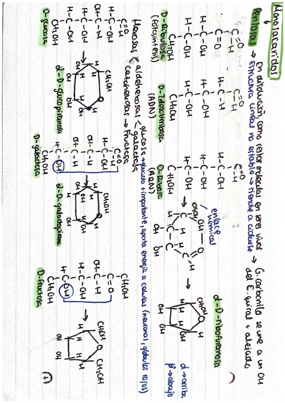 lo Hidrosolubles
to Reductores
Lo sabor dulce
Isometricos
0
LOS GLUCIDOS: Proteinal constituidas por C, Hy O.
Monosacaridos
lo solidocristal