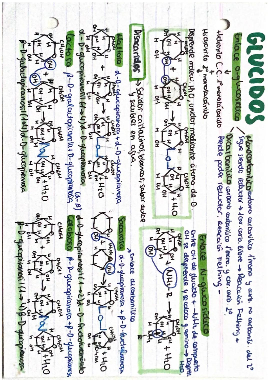 lo Hidrosolubles
to Reductores
Lo sabor dulce
Isometricos
0
LOS GLUCIDOS: Proteinal constituidas por C, Hy O.
Monosacaridos
lo solidocristal