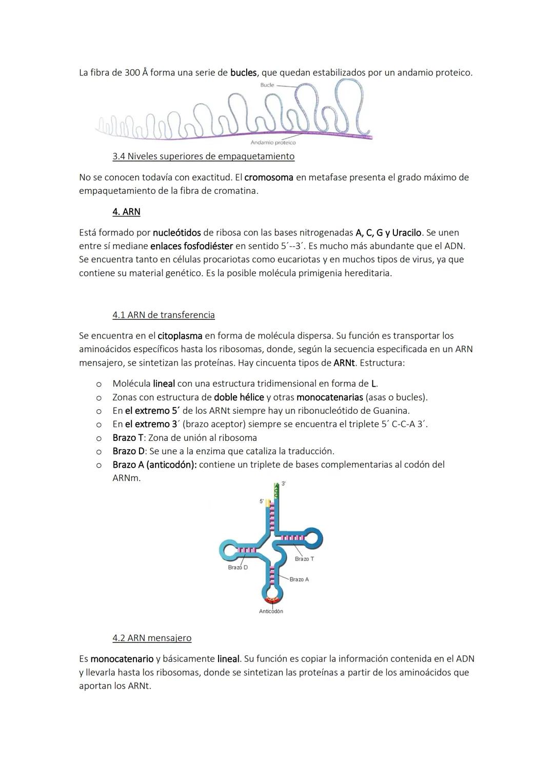 TEMA 5. Los ácidos nucléicos
1. Formación de los ácidos nucléicos
Los ácidos nucleicos son polímeros formados por nucleótidos. Su nombre se 