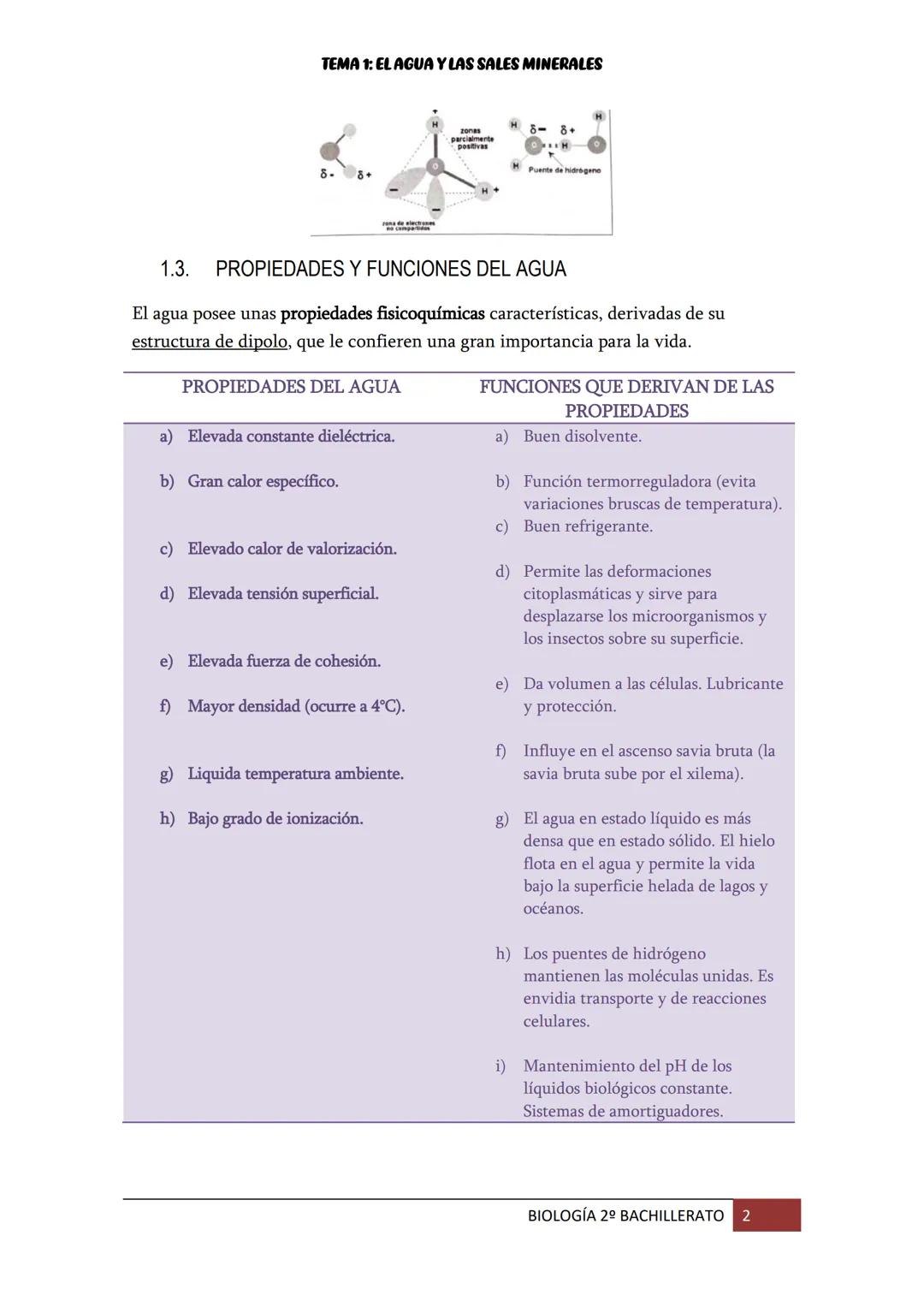TEMA 1: EL AGUA Y LAS SALES MINERALES
1. EL AGUA EN LOS SERES VIVOS
El
agua es la molécula más abundante en los seres vivos (supone entre el