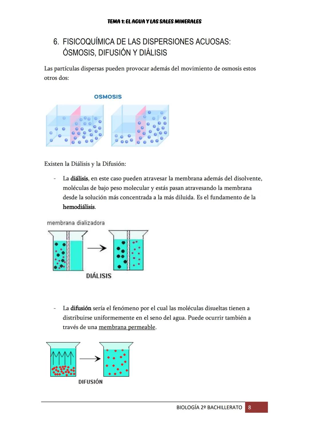 TEMA 1: EL AGUA Y LAS SALES MINERALES
1. EL AGUA EN LOS SERES VIVOS
El
agua es la molécula más abundante en los seres vivos (supone entre el