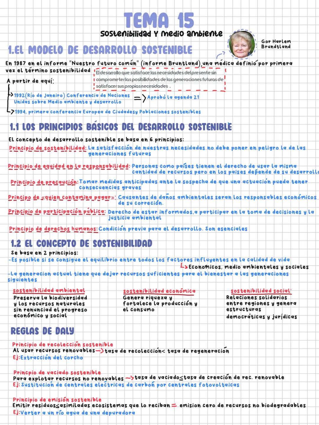Sostenibilidad y el Medio Ambiente: Claves y Conceptos